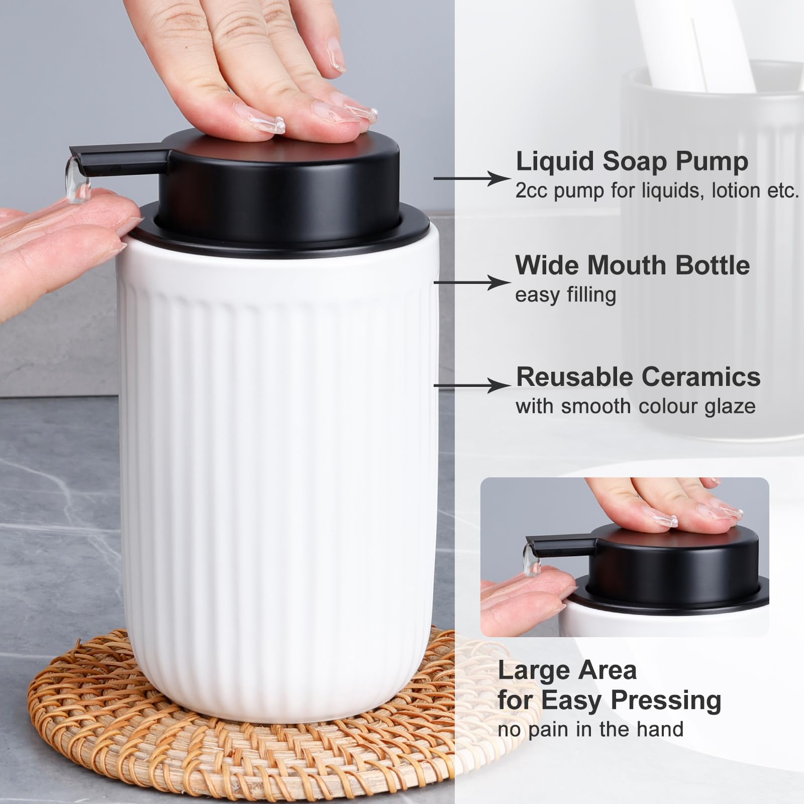 Dish Hand Soap Dispenser