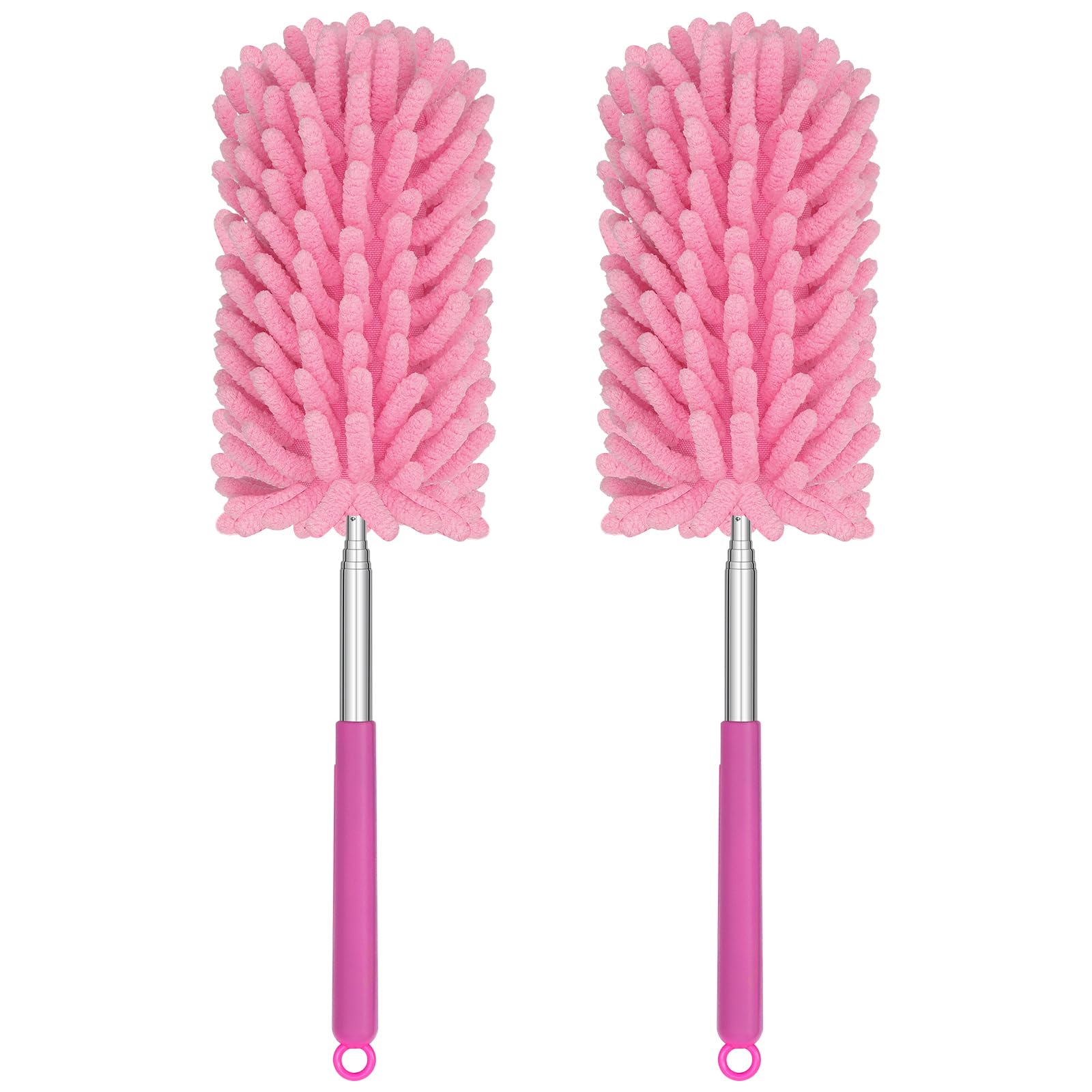 Mini Duster for Cleaning