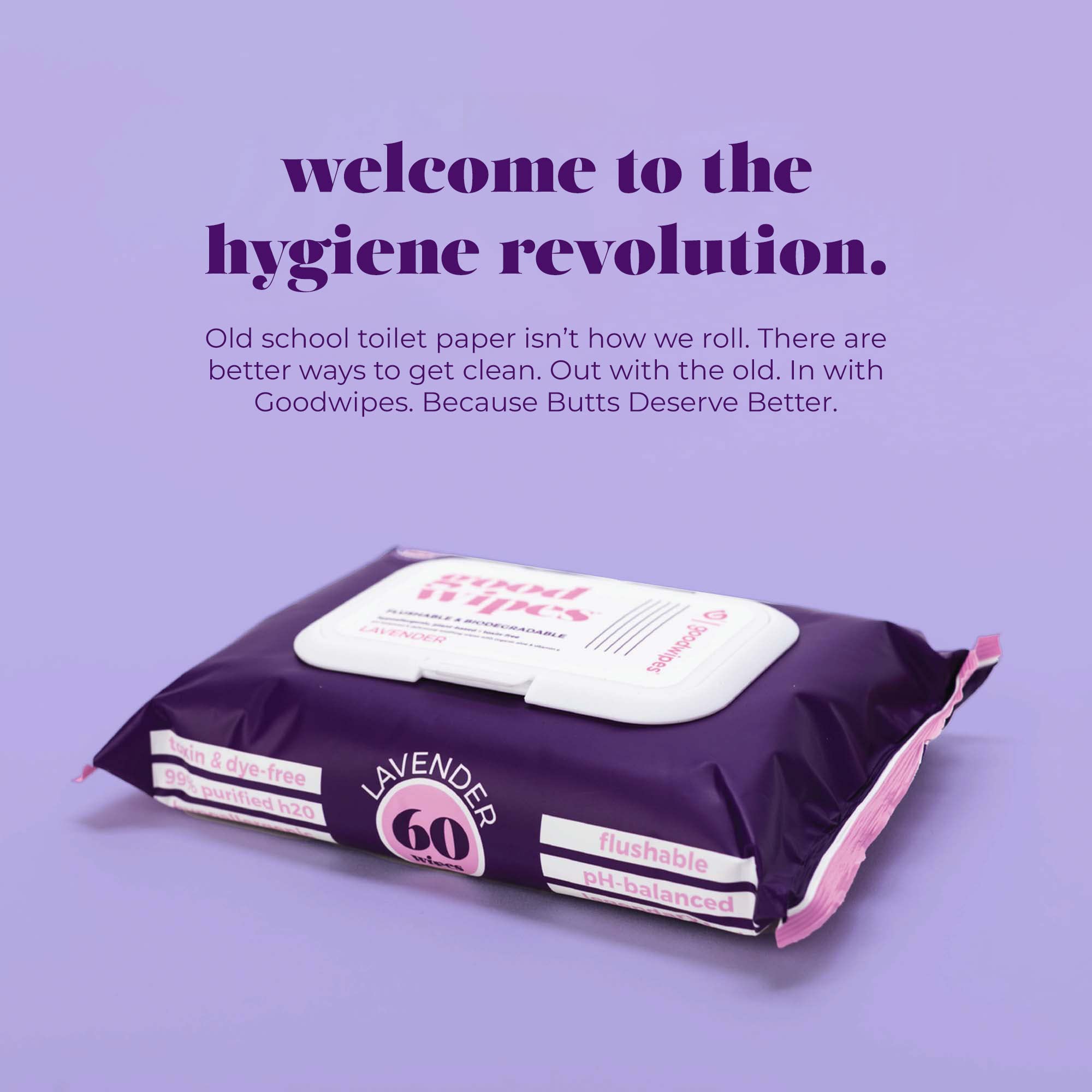 Flushable Wipes (480 Count)