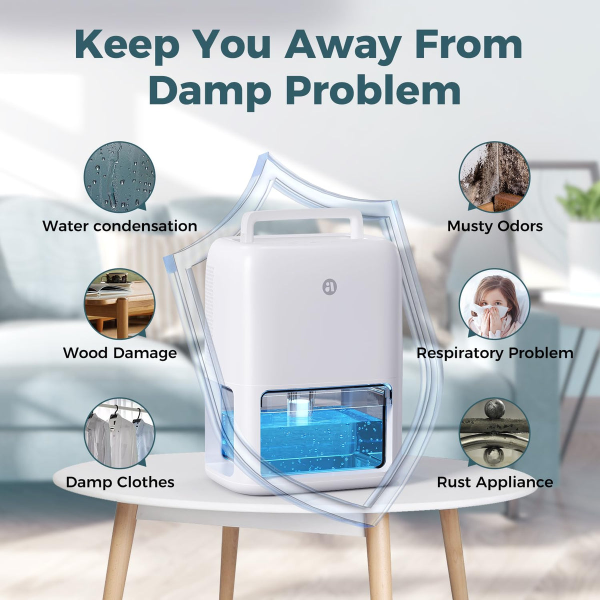 60 OZ Dehumidifiers for Home