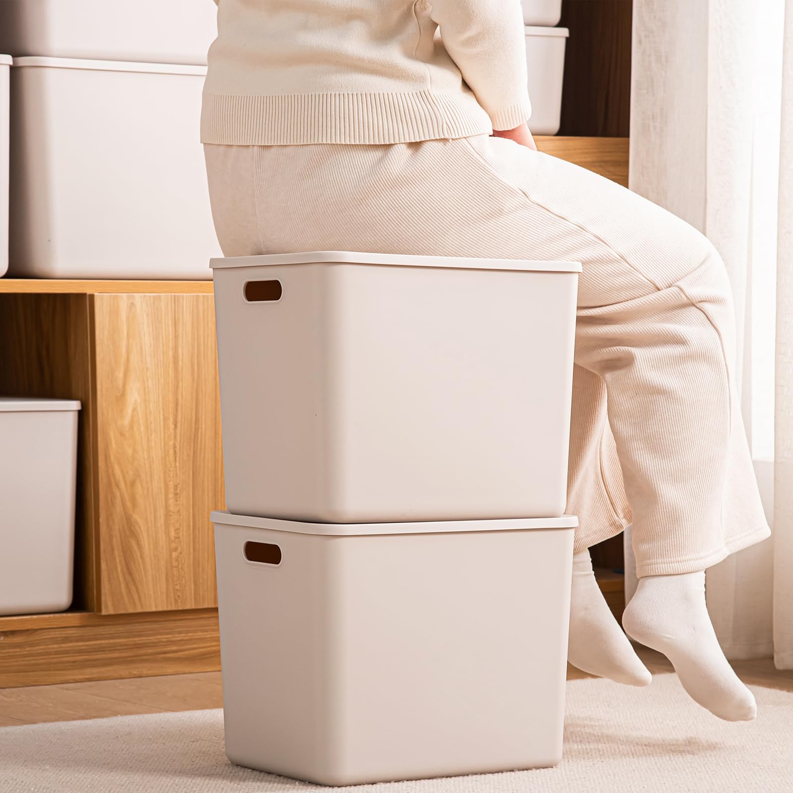 Plastic Storage Bins with lids (7 Count)