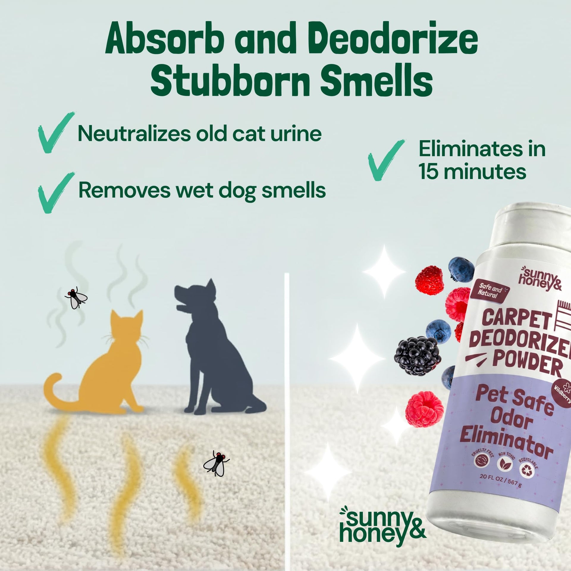 Carpet Deodorizer Powder (20 Ounce)