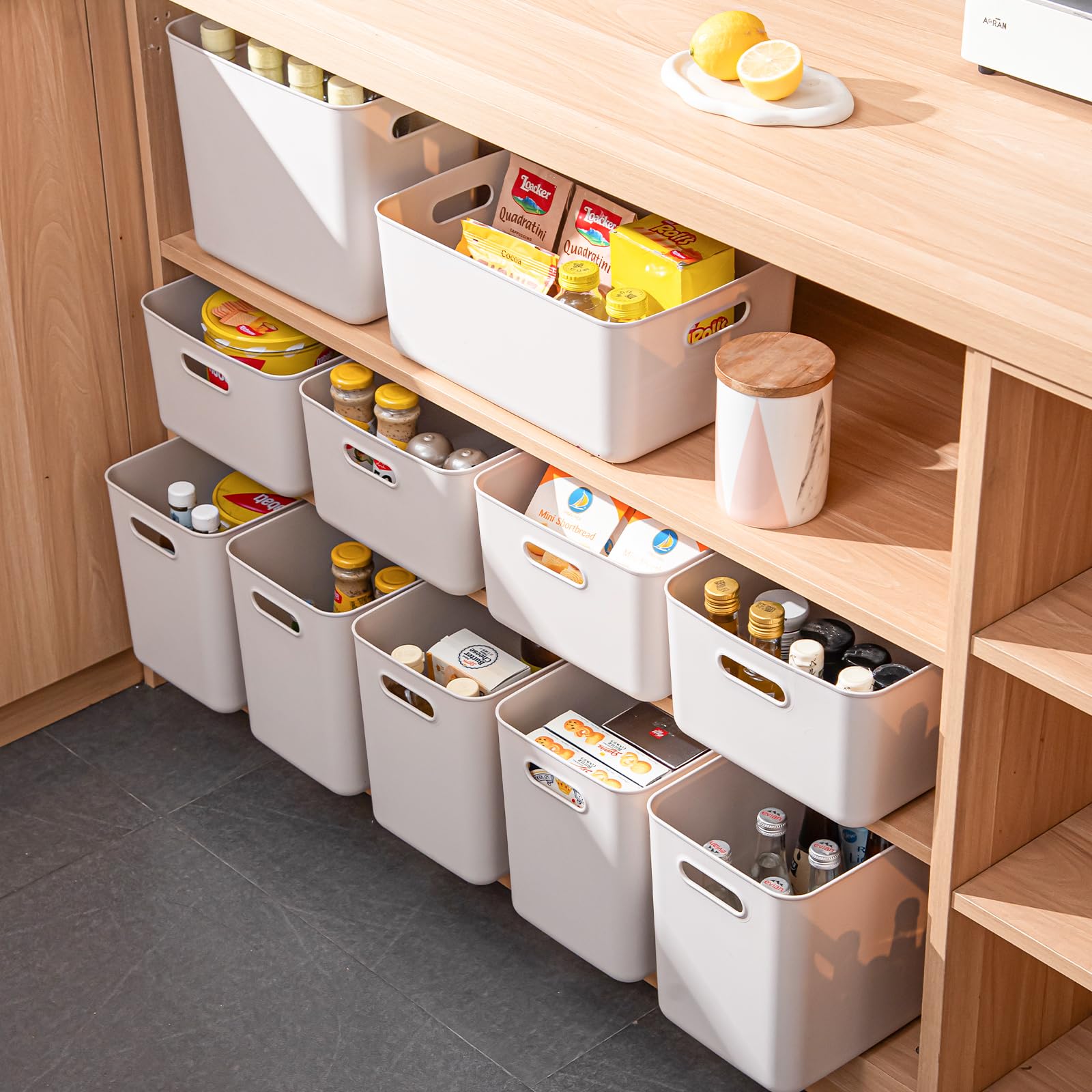 Plastic Storage Bins with lids (4 Count)