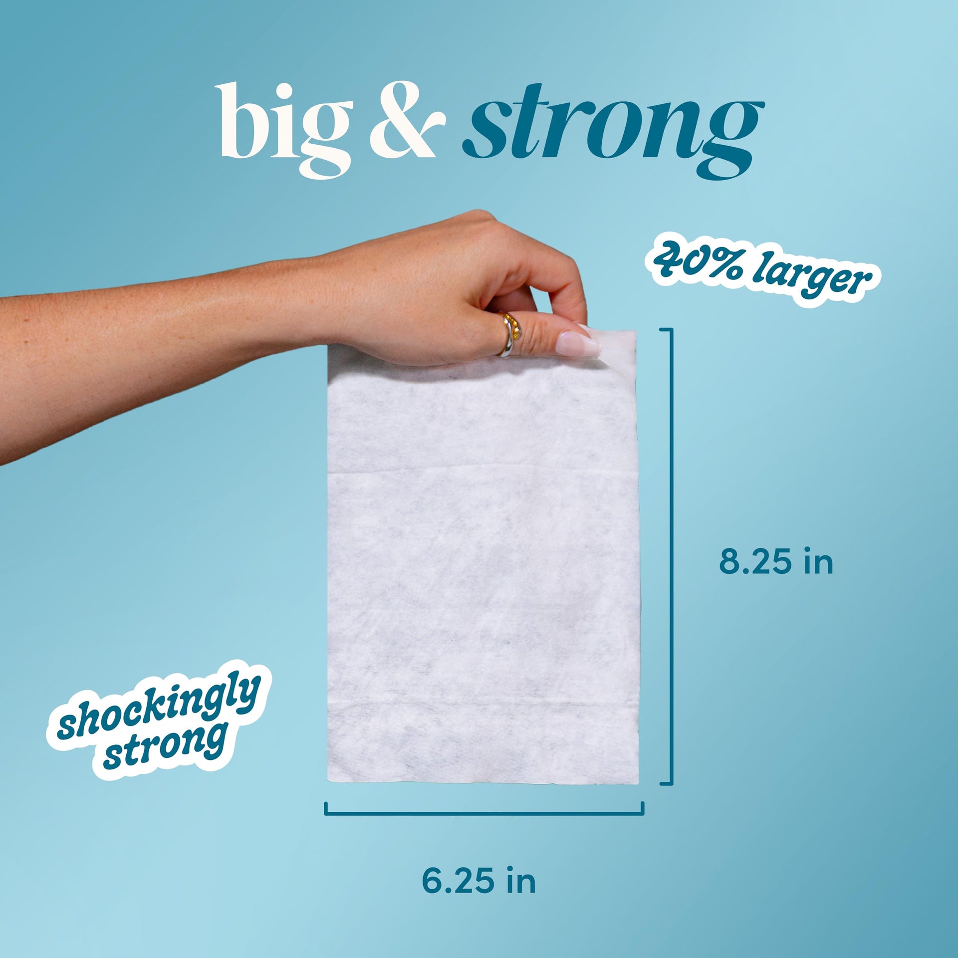 Flushable Wipes (300 Count)