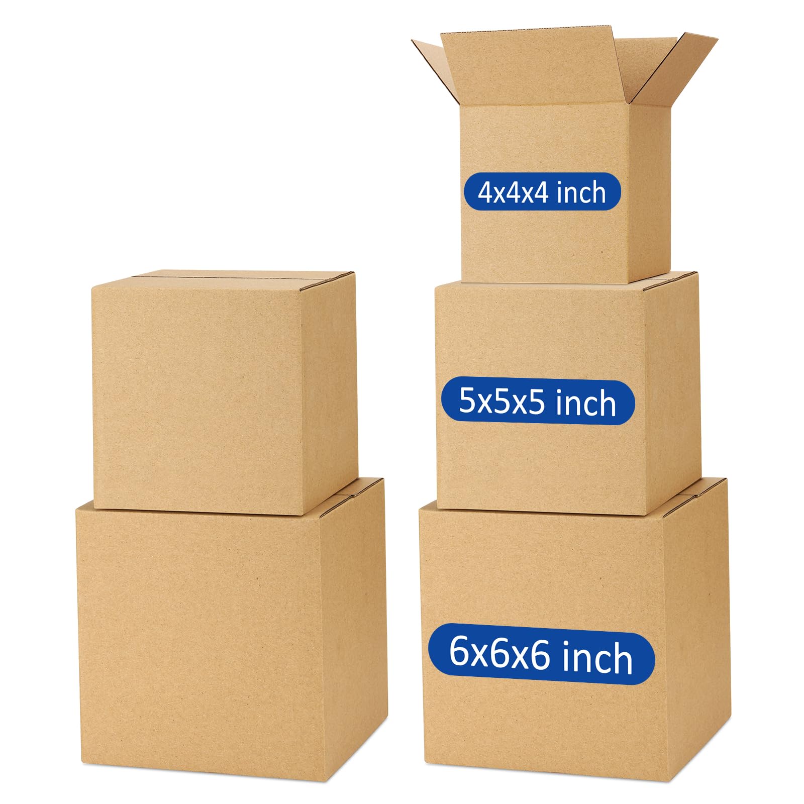 Assorted Sizes (45 Count)