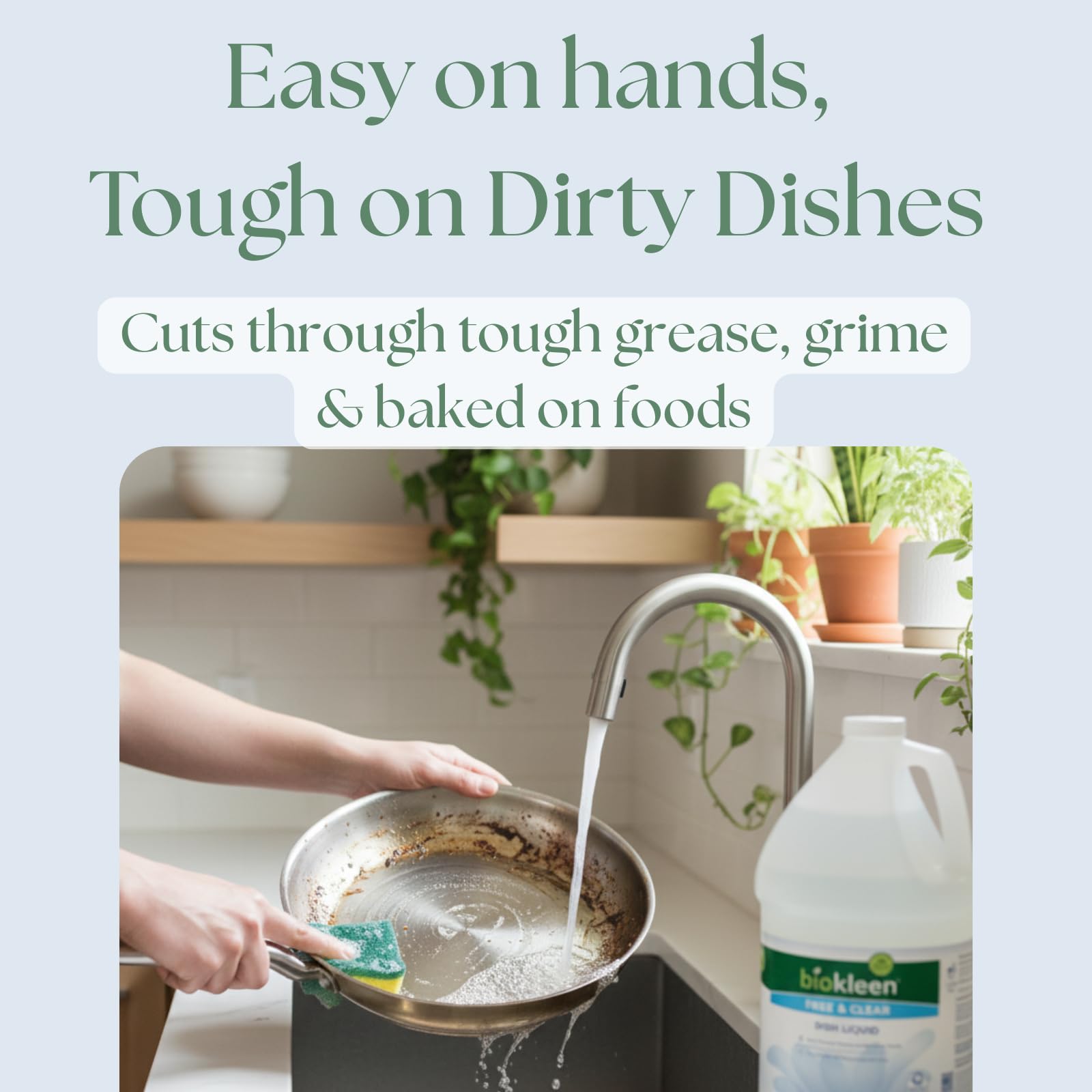 Free & Clear Dish Soap (50 Fl Oz)