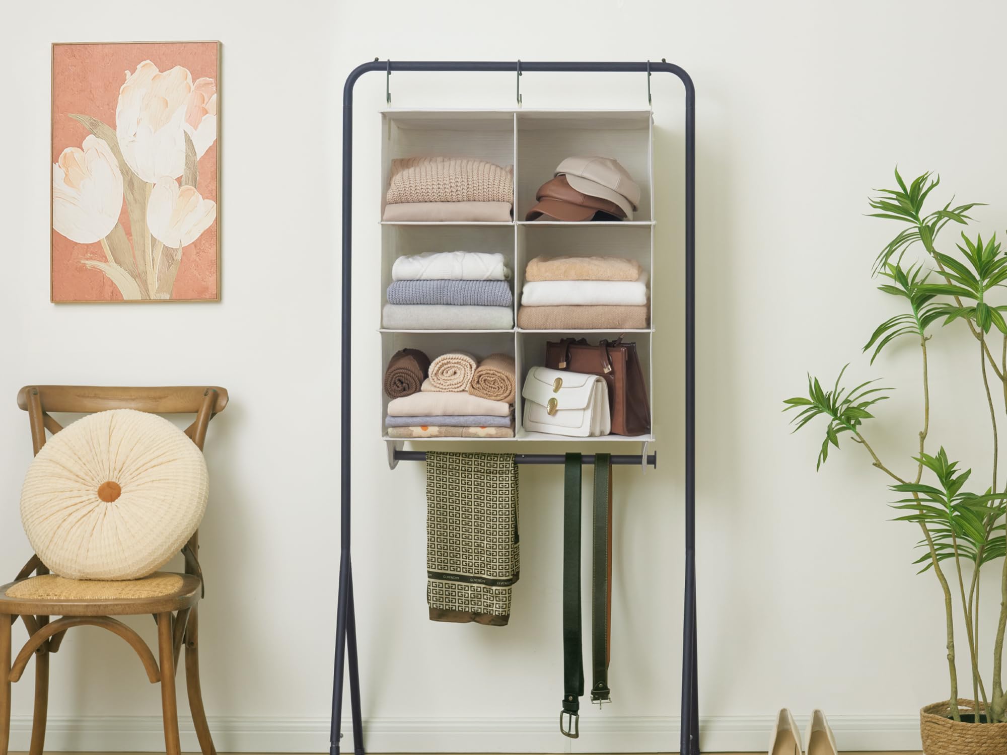 Hanging Closet Organizer with Rod