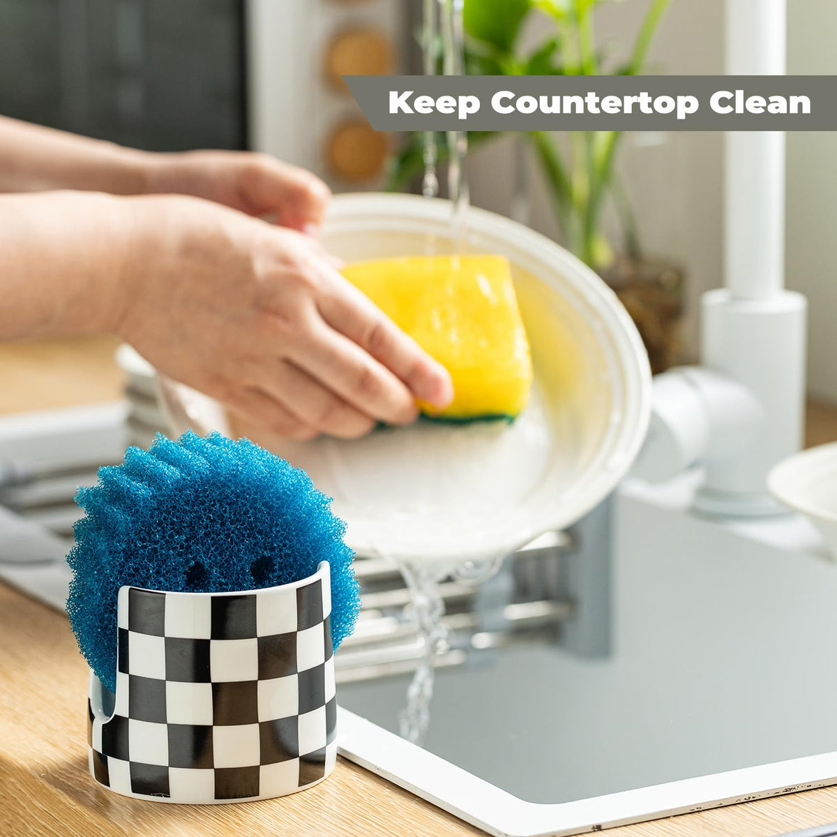 Sponge Holder for Kitchen Sink