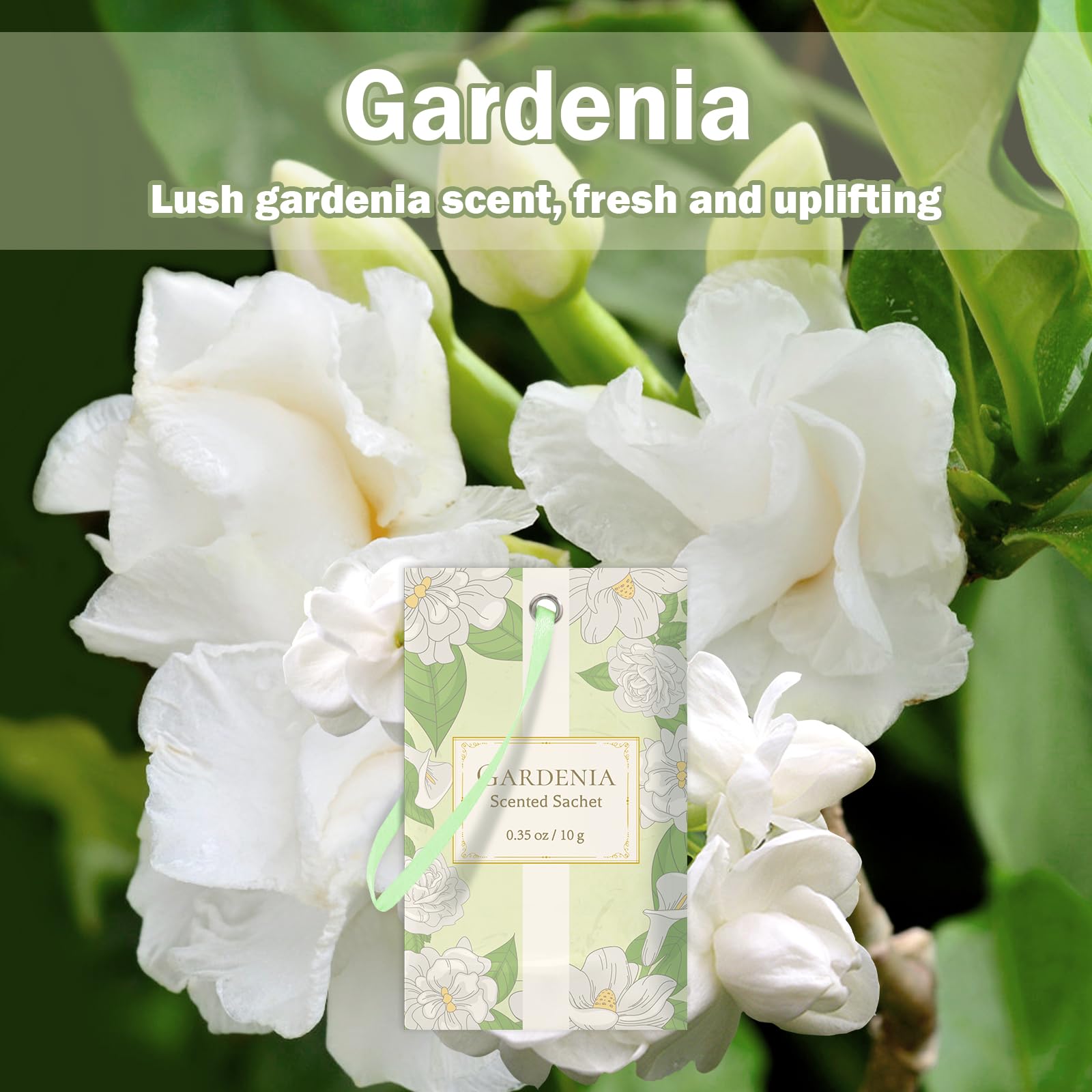 Scented Sachets for Drawer and Closet (14 Count)