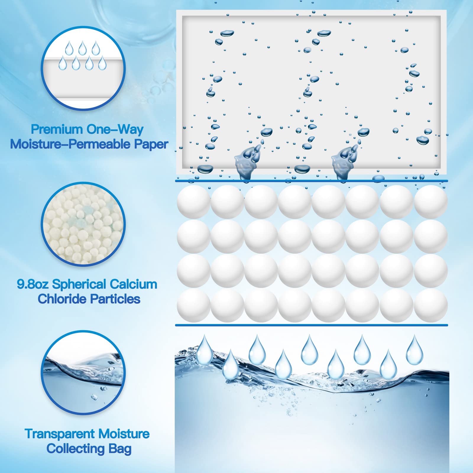 Moisture Absorber (10 Count)