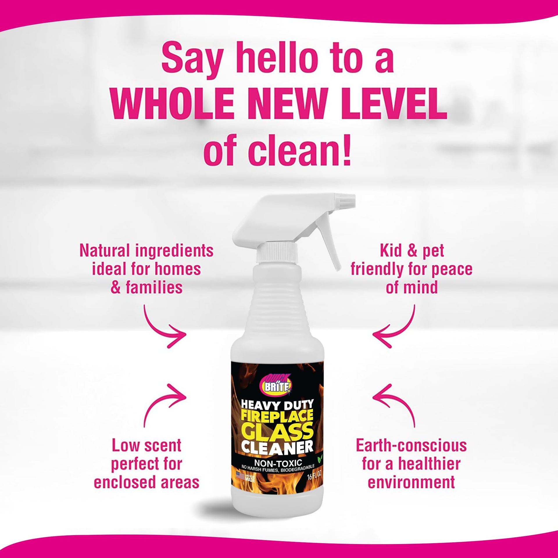 Quick N Brite Fireplace Glass Cleaner Kit with Cloth and Sponge (16 Fl Oz)