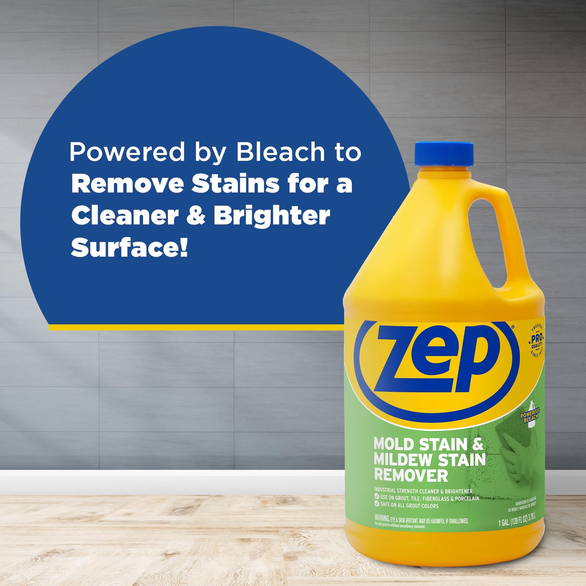 Mold Stain and Mildew Stain Remover (256 Fl Oz)