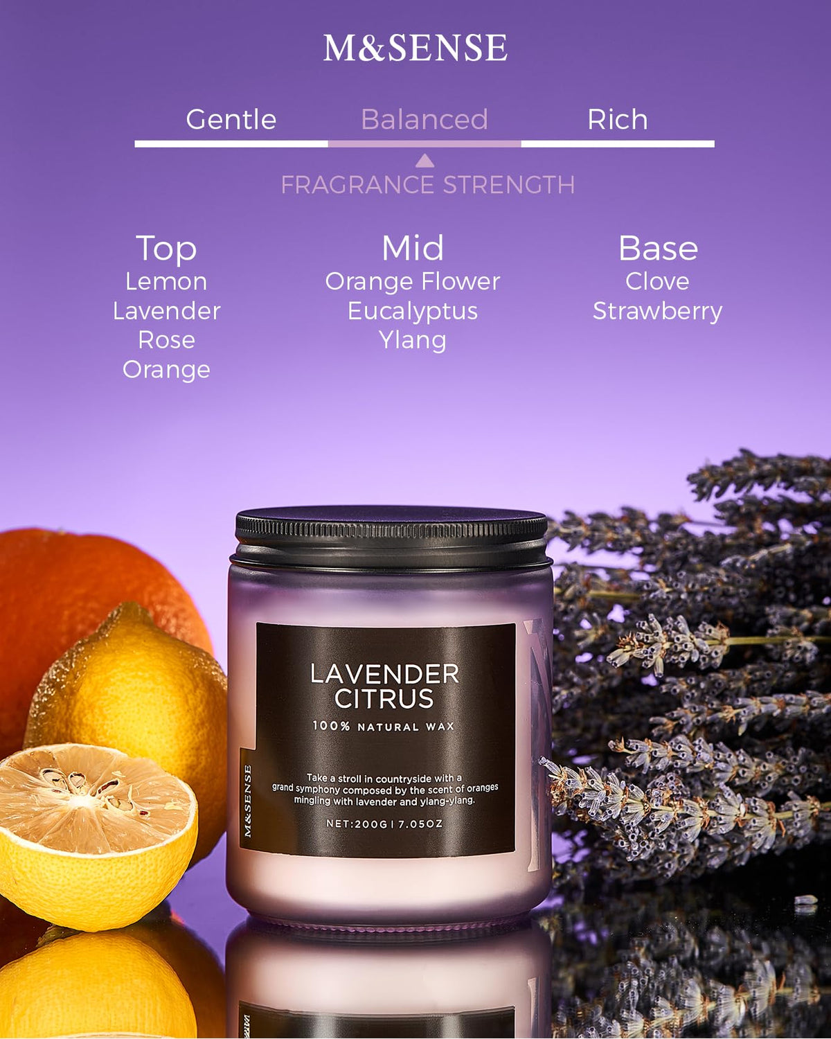 Lavender Citrus Scented Candles for Home (6 Ounce)
