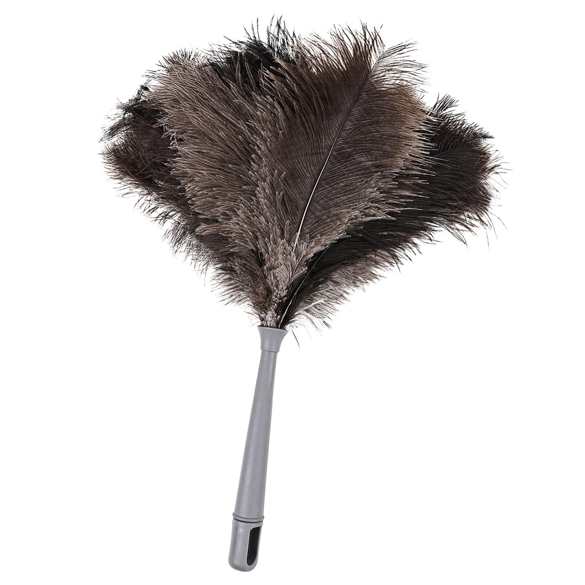 Feather Duster
