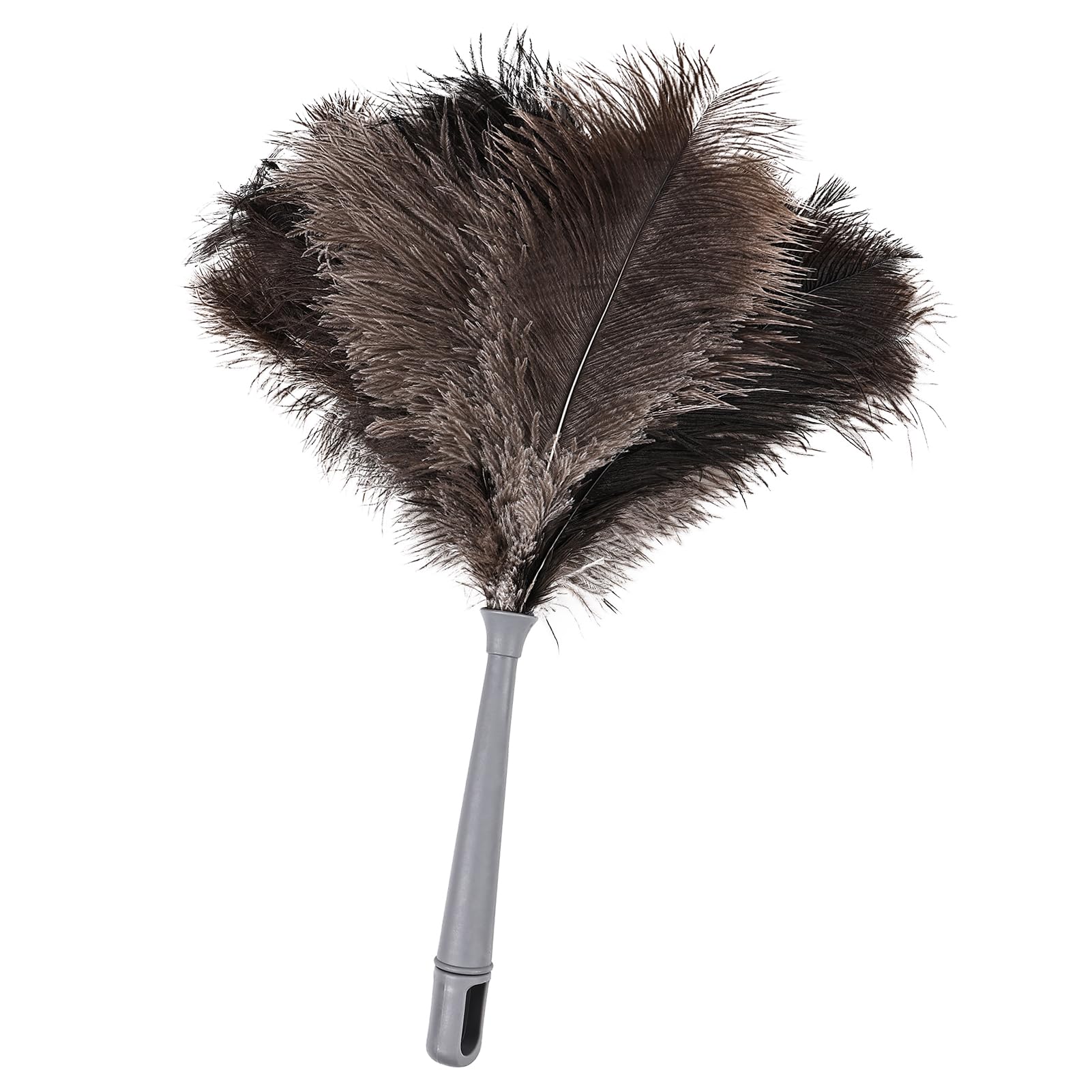 Feather Duster