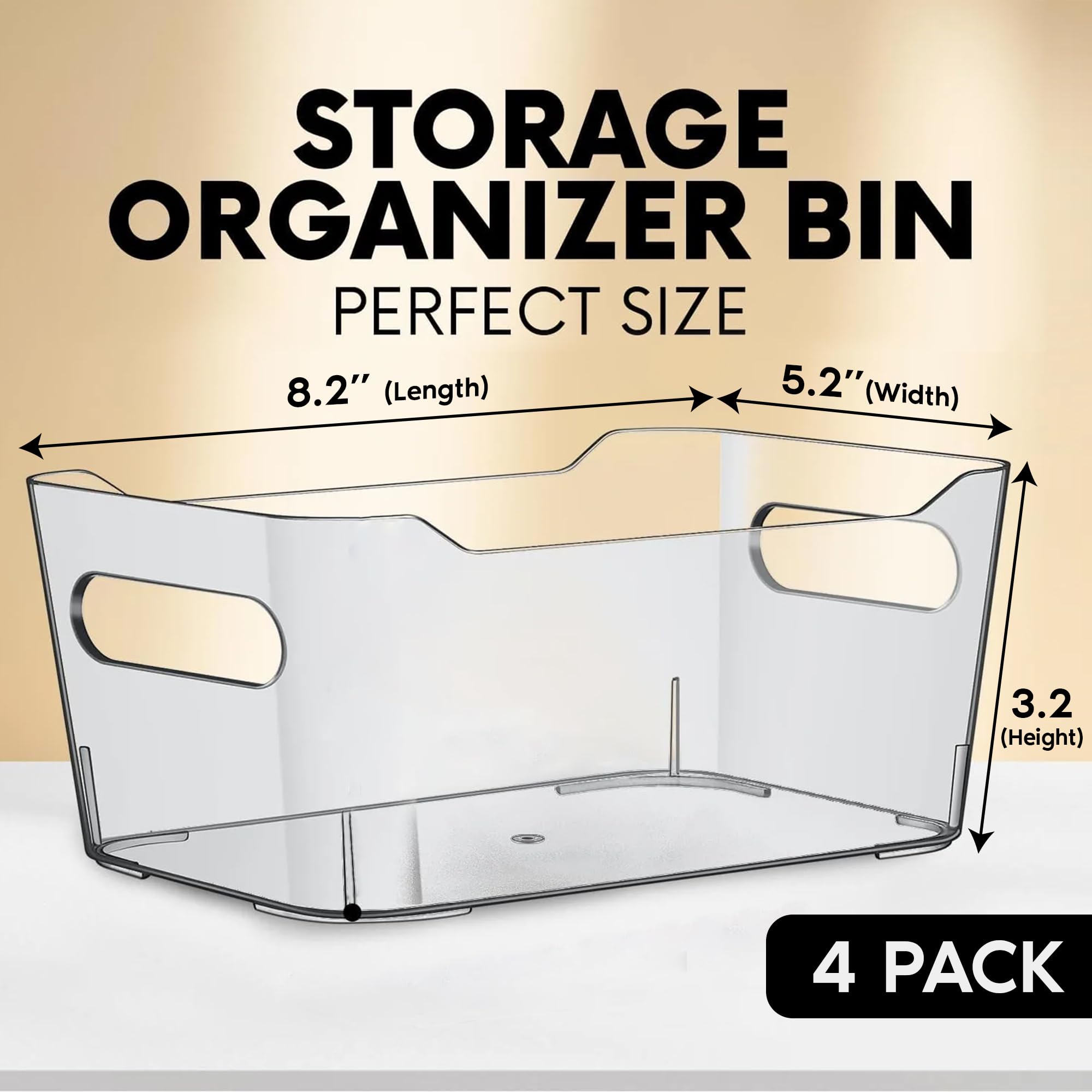 Small Clear Plastic Storage Bins (4 Count)