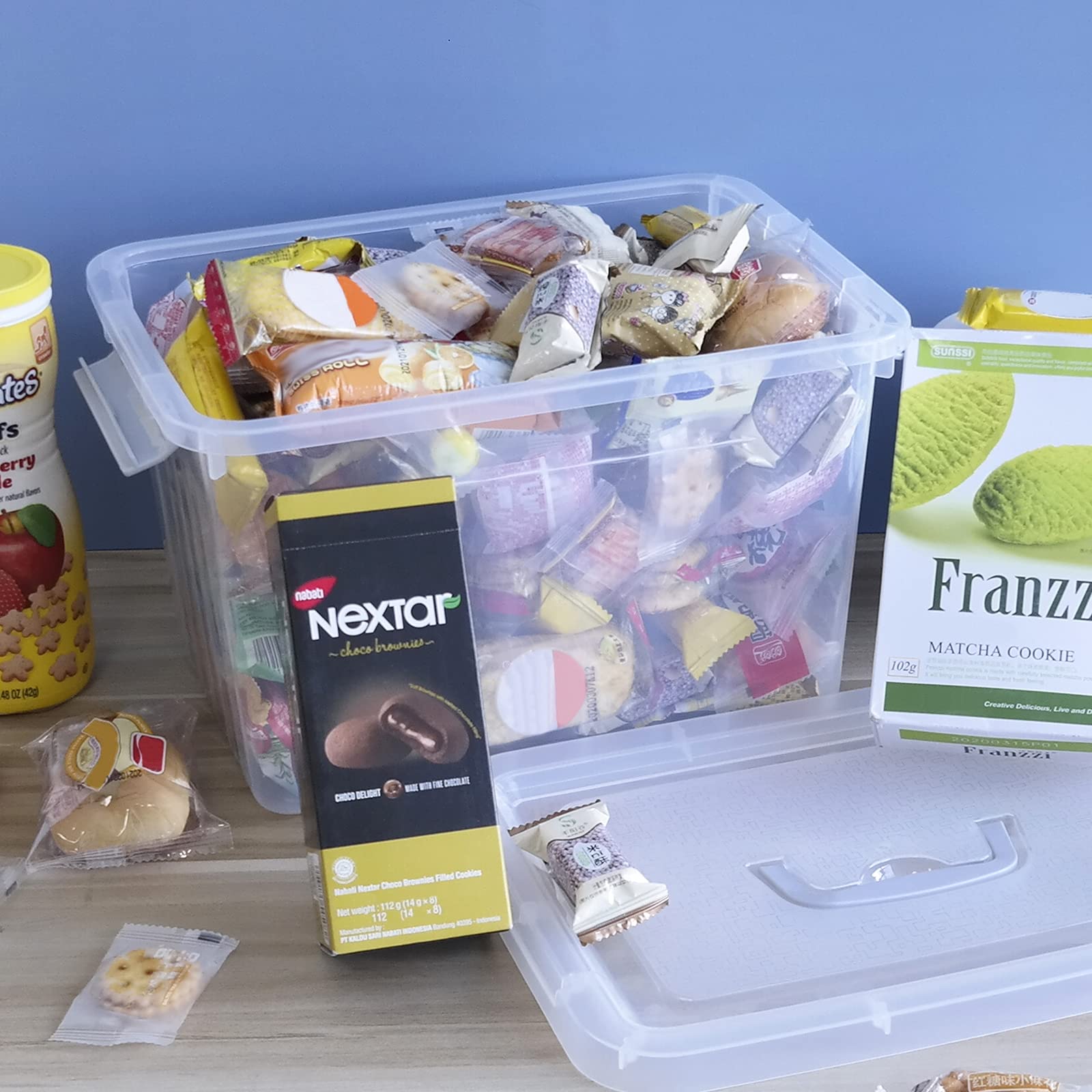 10 L Clear Plastic Storage Box (6 Count)