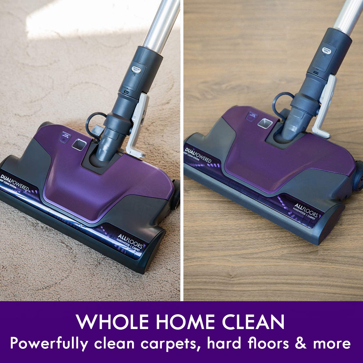 600 Series Pet Friendly Bagged Canister Vacuum