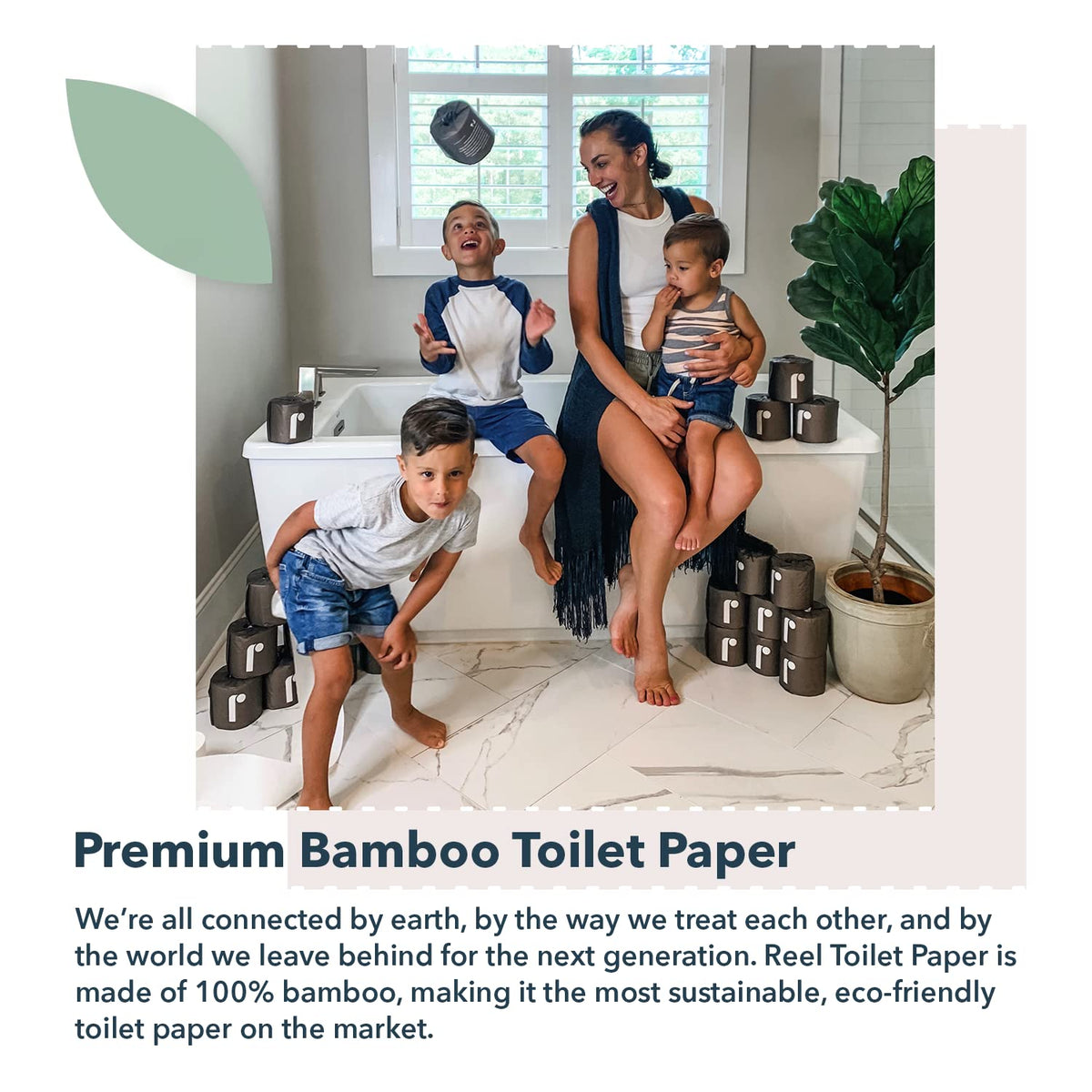 Premium 3 Ply Bamboo Toilet Paper (12 Piece)