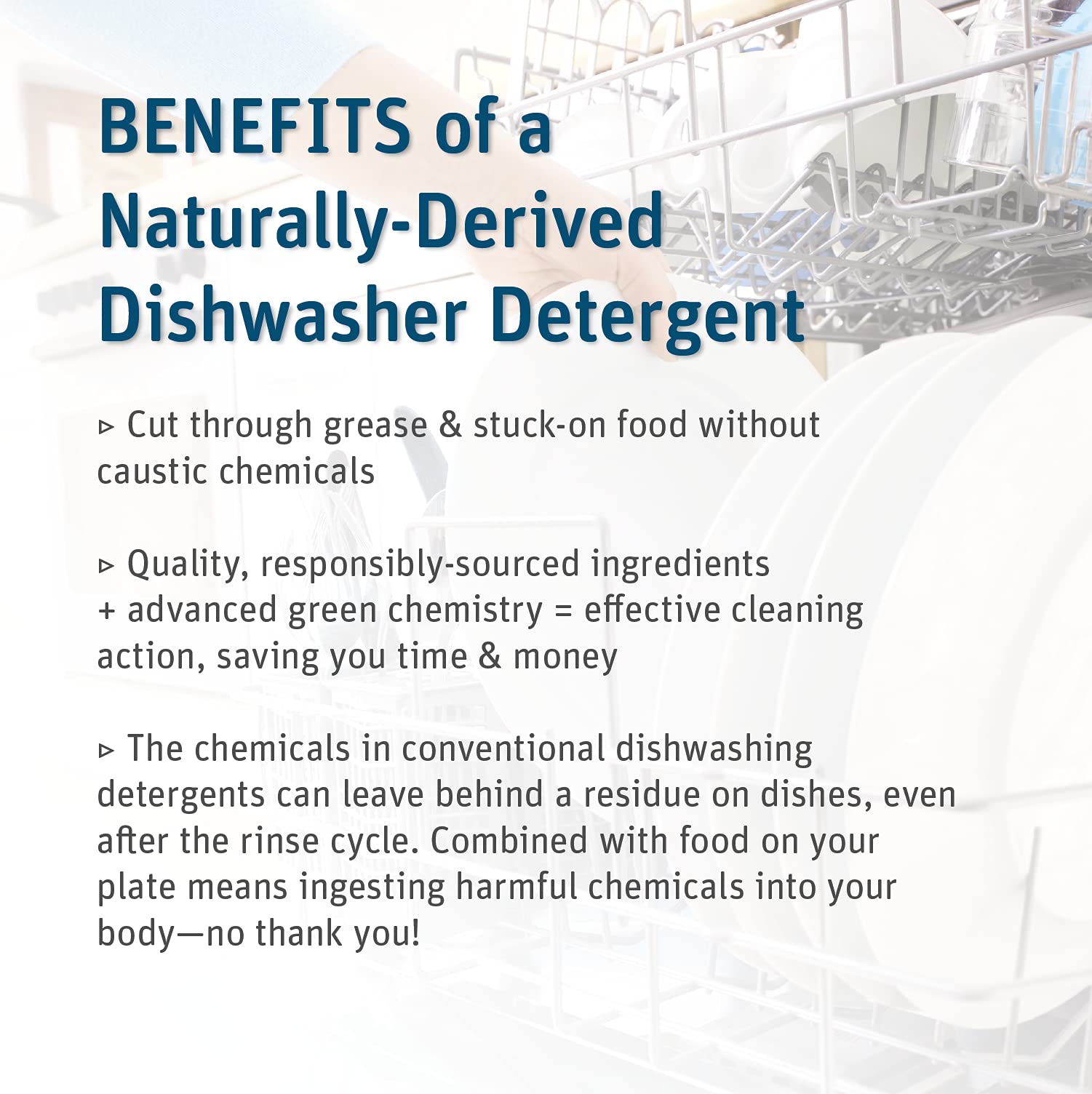 Dishwasher Detergent Powder (3.17 Count)