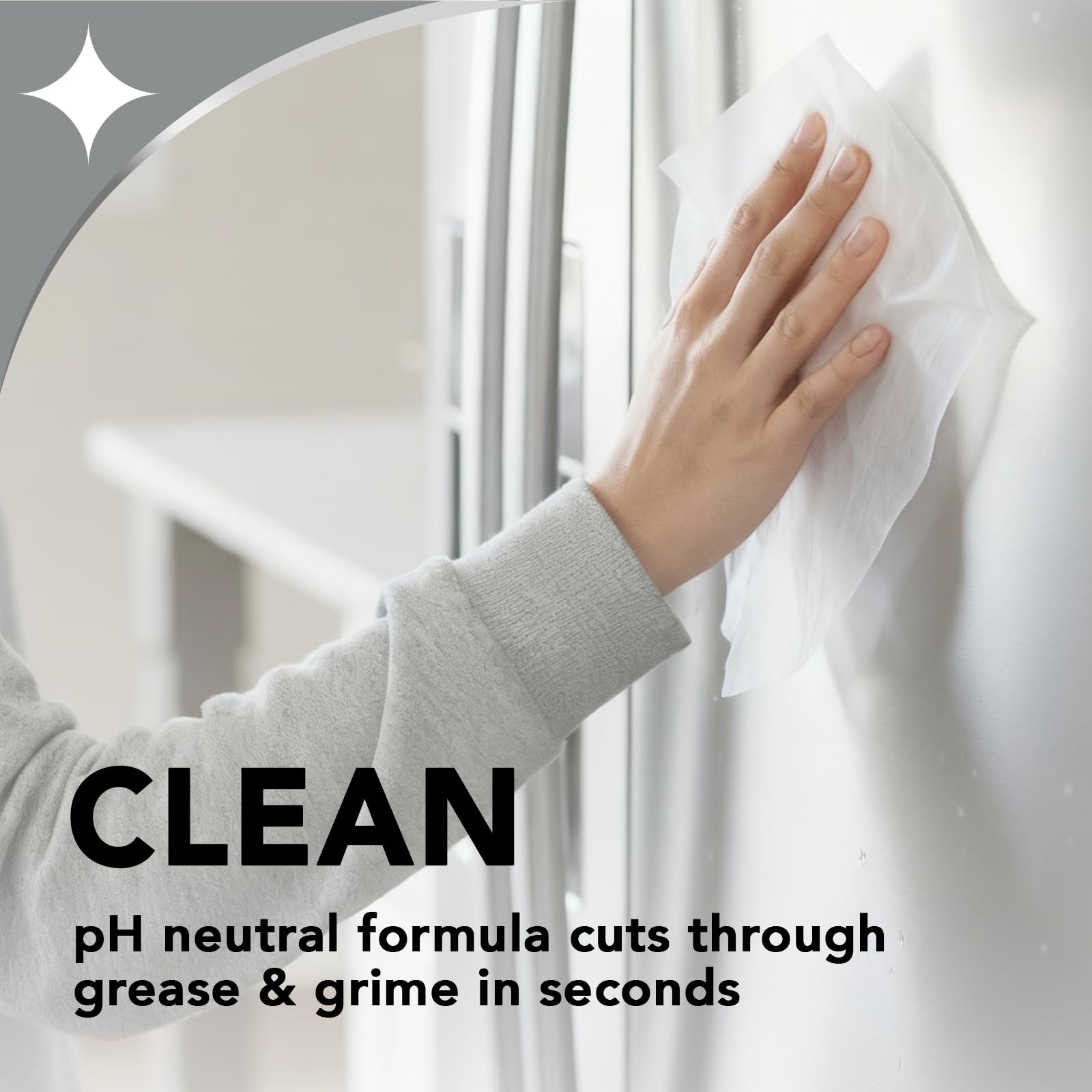 Stainless Steel Cleaner & Polisher (30 Count)
