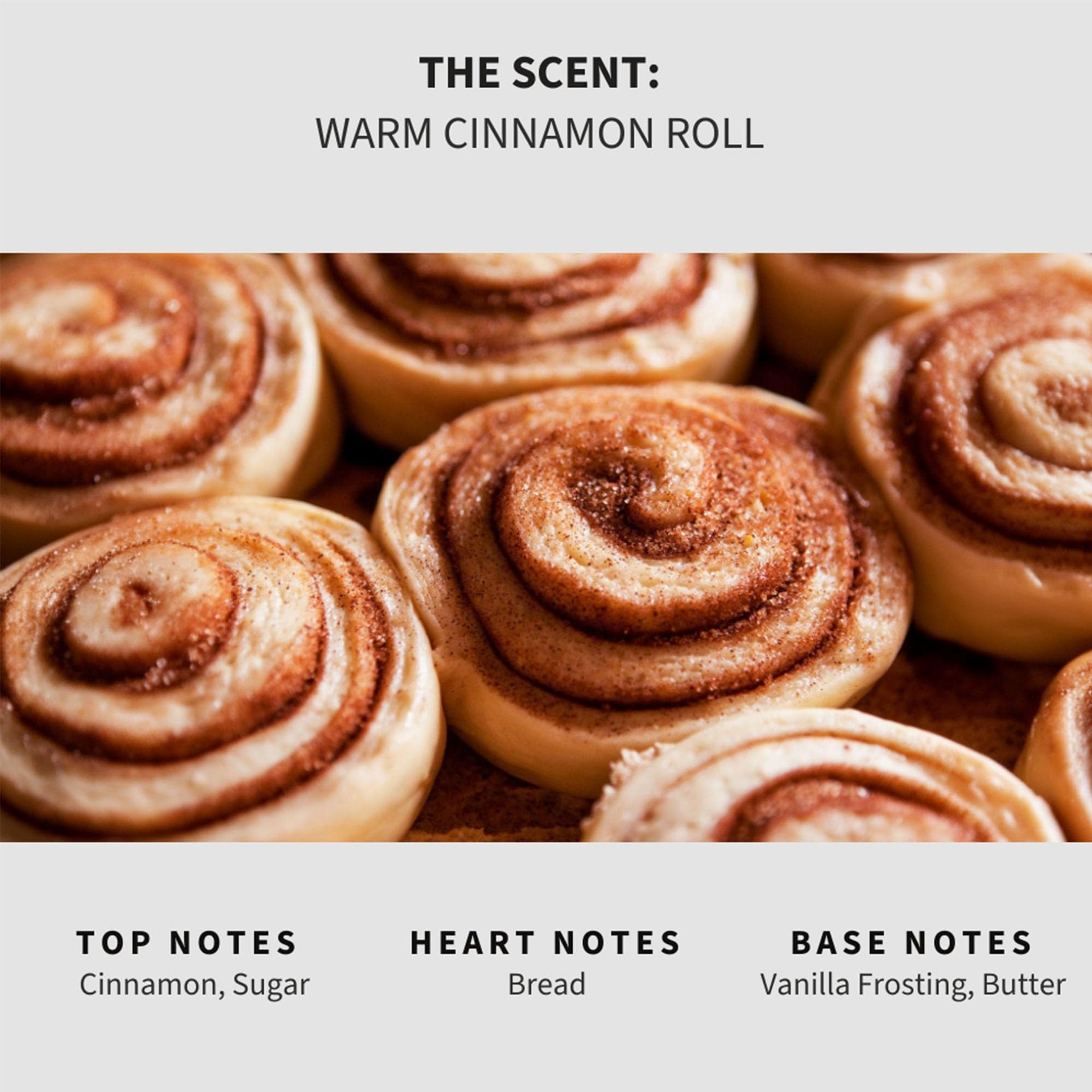 Warm Cinnamon Roll Carpet Deodorizer Powder (16 Ounce)