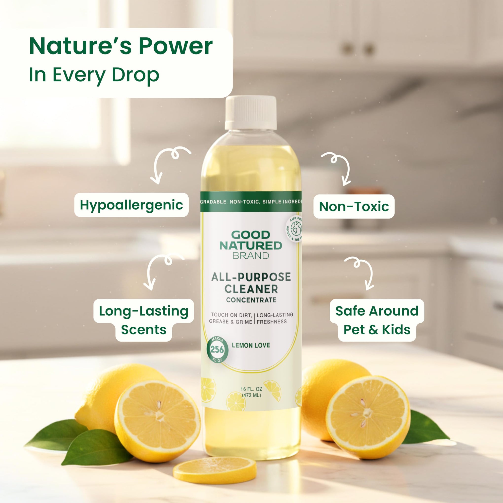 All Purpose Cleaner Concentrate (16 Fl Oz)