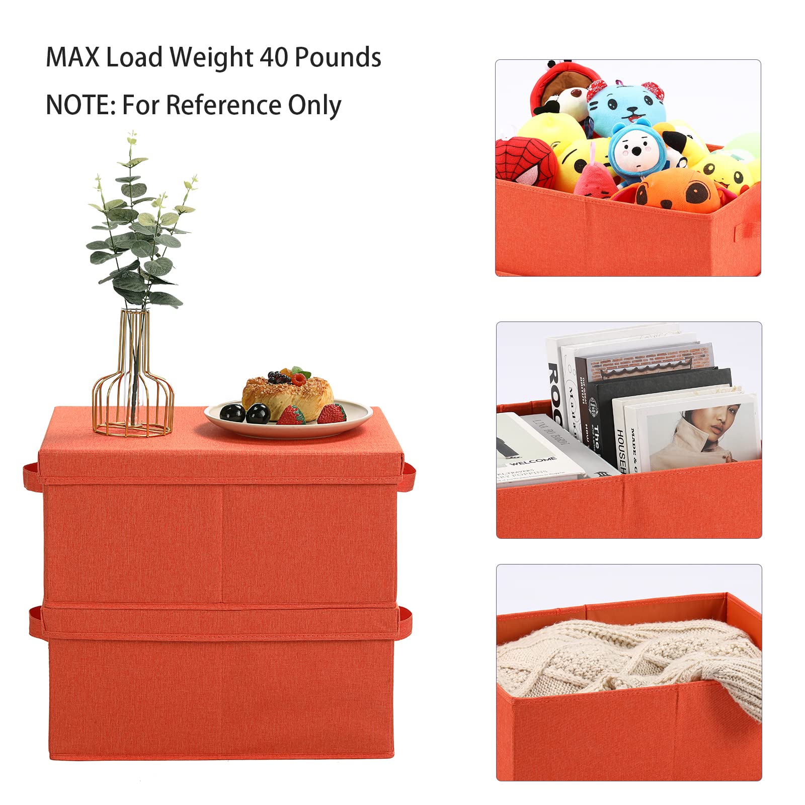 Storage Bins with Lids for Organizing (2 Count)