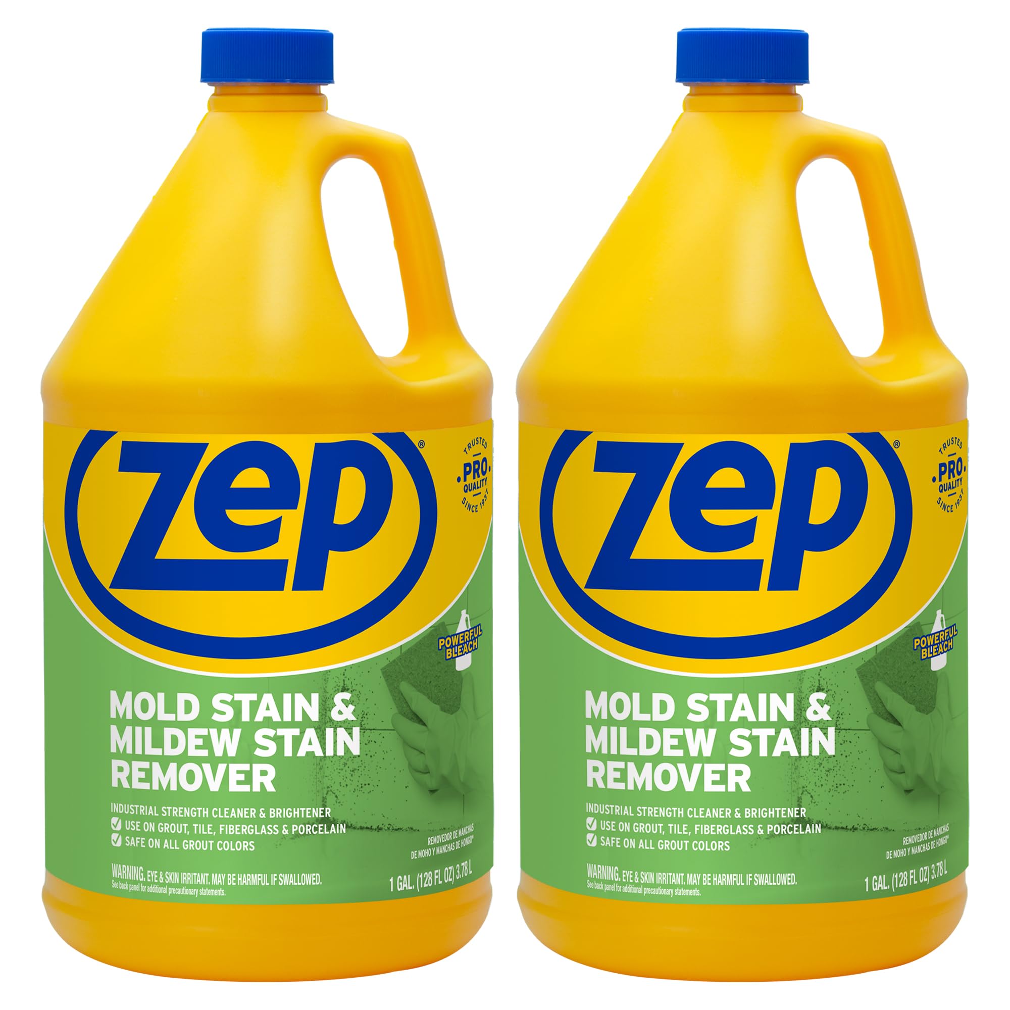 Mold Stain and Mildew Stain Remover (256 Fl Oz)