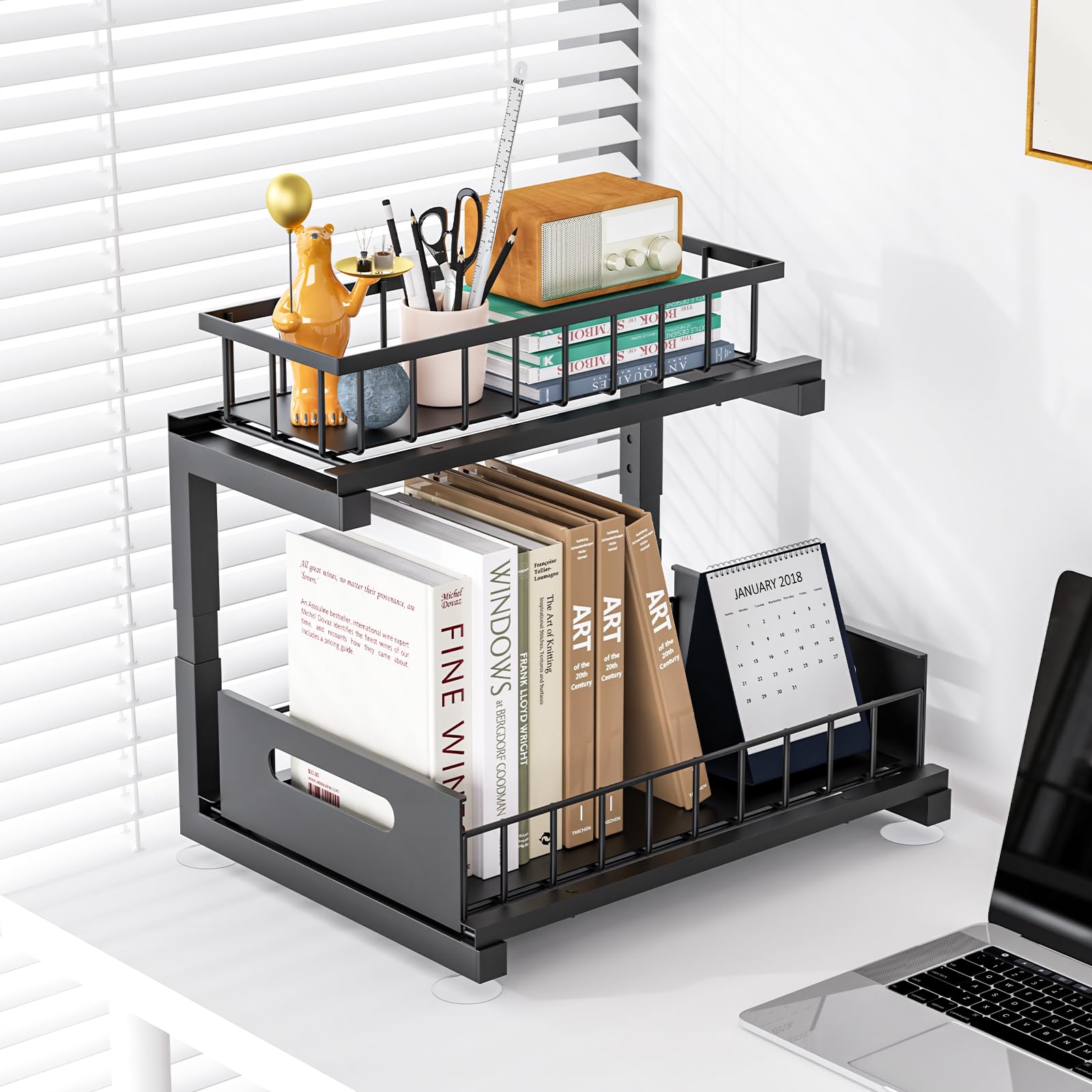 Under Sink Organizer