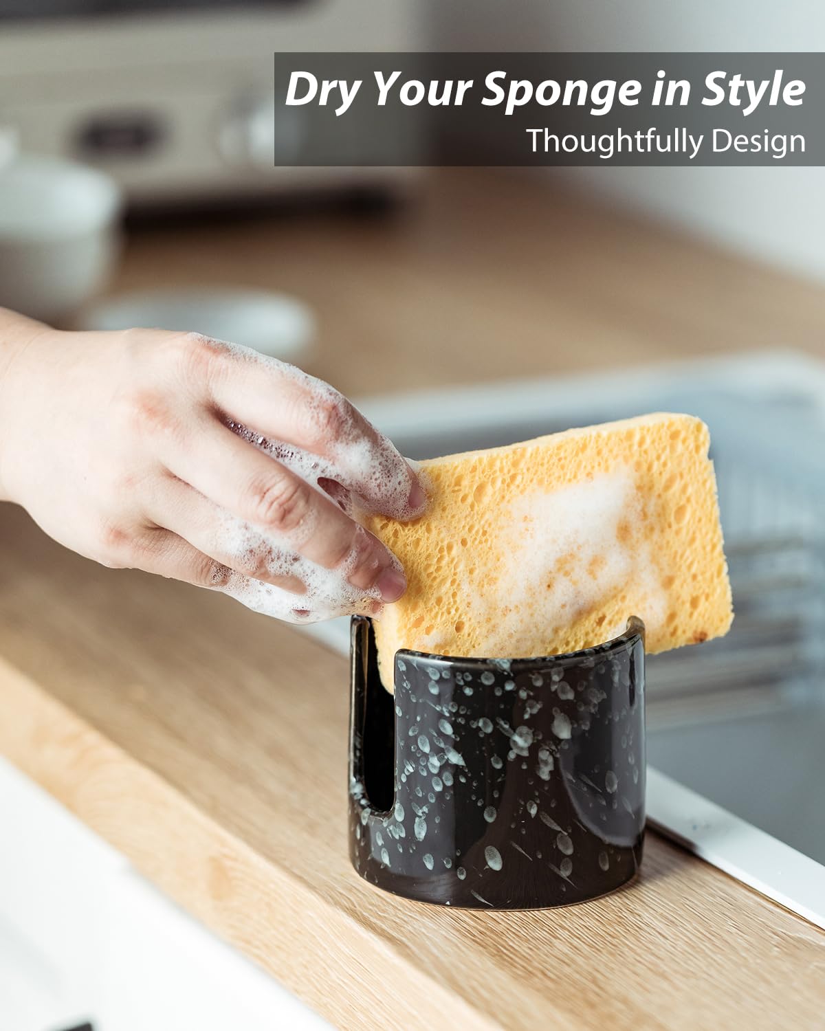 Sponge Holder for Kitchen
