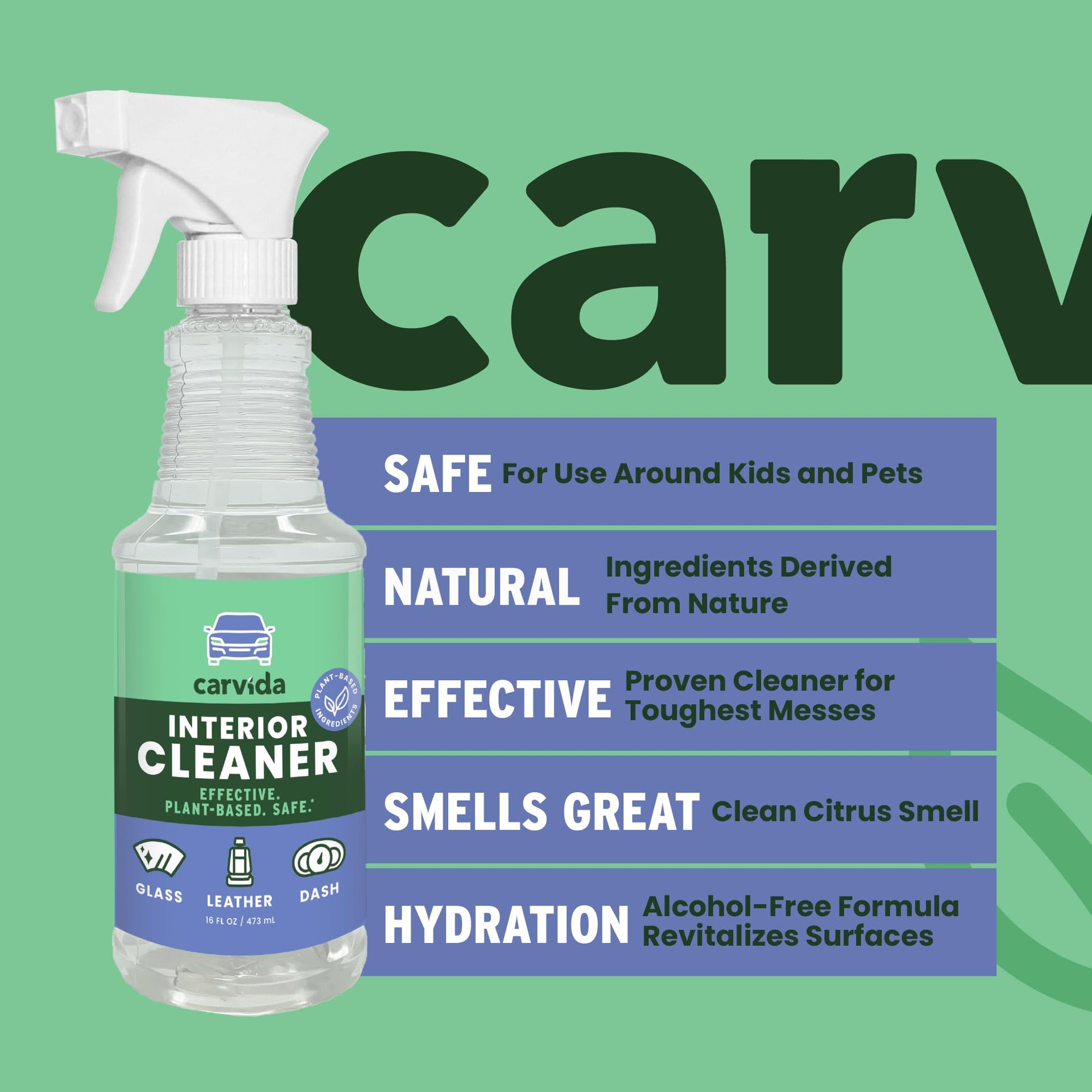 Interior Cleaner