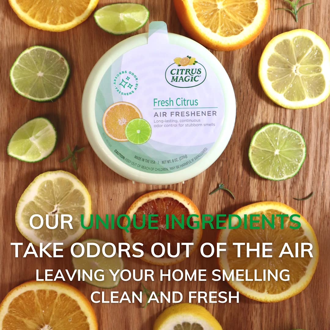 Solid Air Fresheners (48 Ounce)