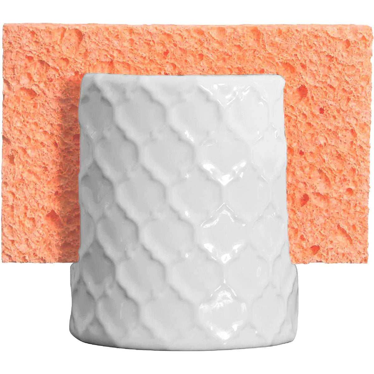 Sponge Holder for Kitchen Sink