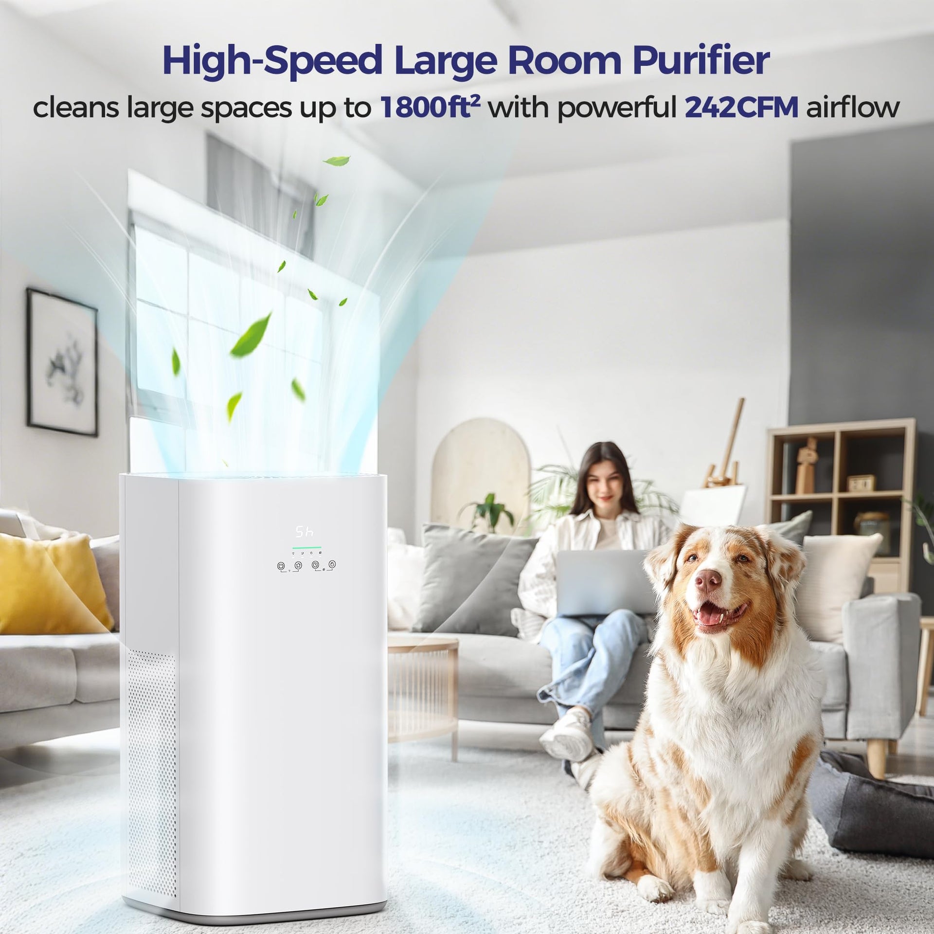 Air Purifier for Home Large Room & Pets