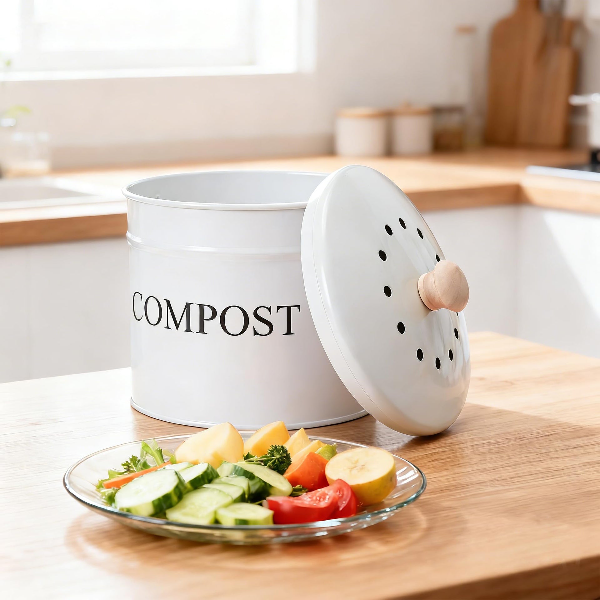 Compost Bin 1 Gallon Countertop Composter with Lid