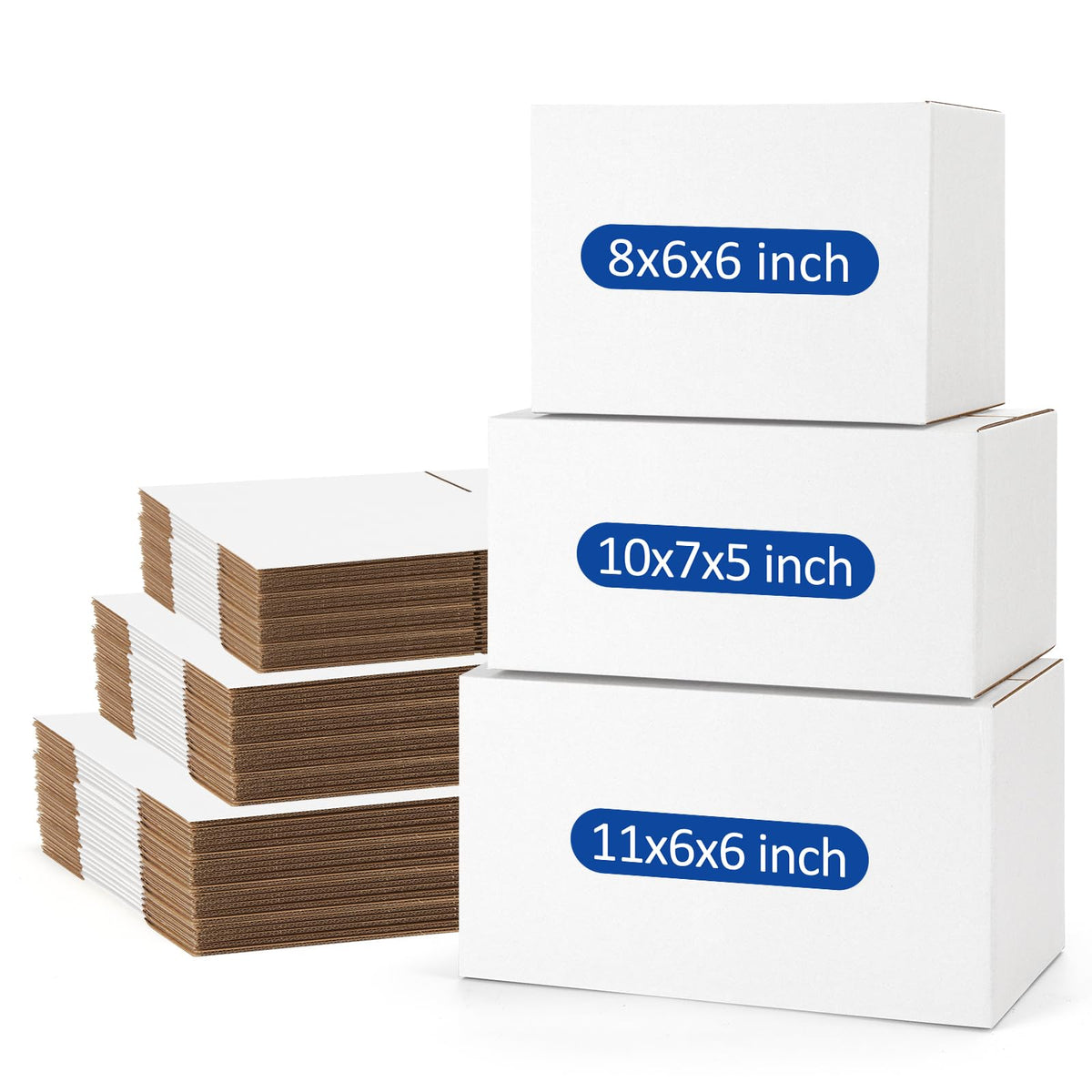 Assorted Sizes (45 Count)