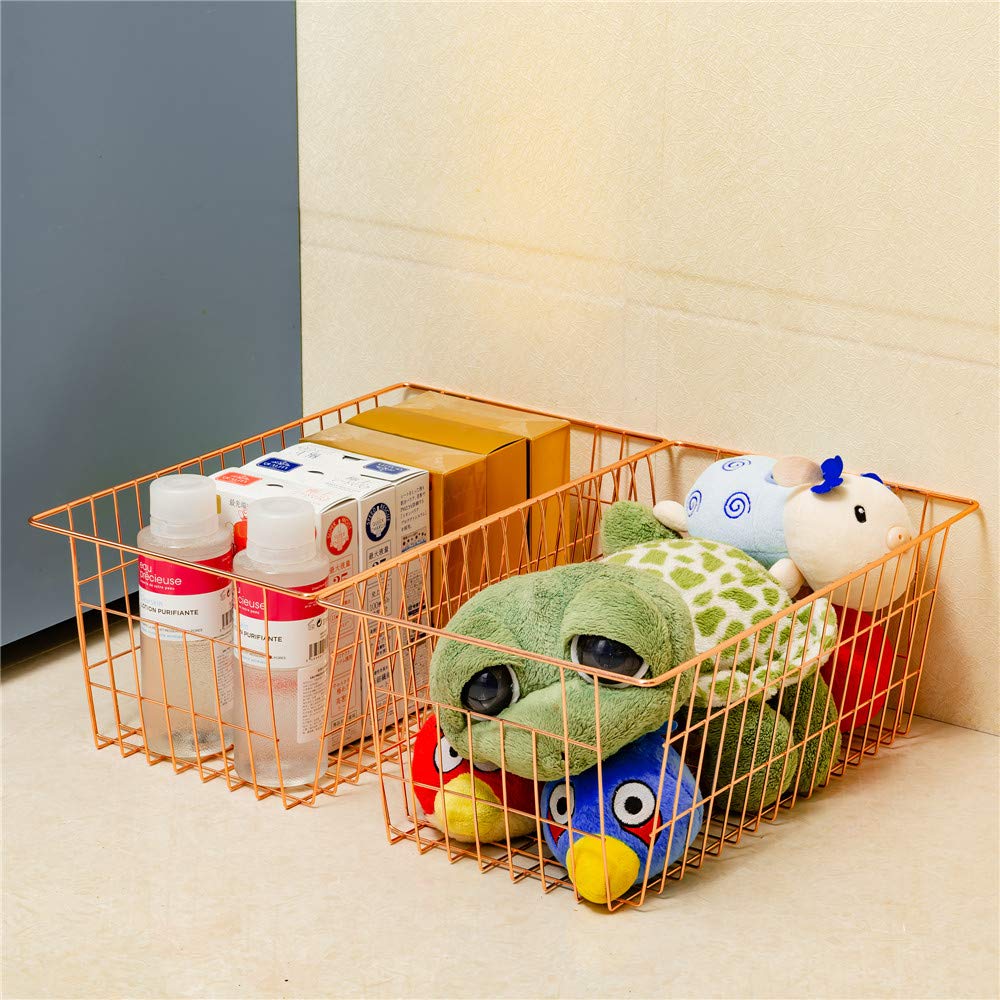 Wire Storage Basket (2 Count)