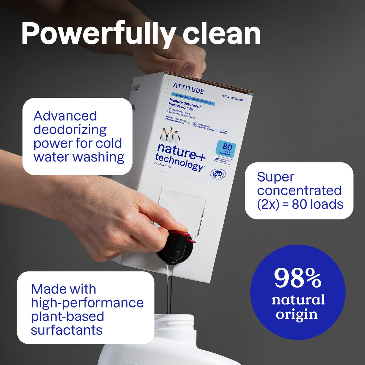 Liquid Laundry Detergent (67.6 Fl Oz)