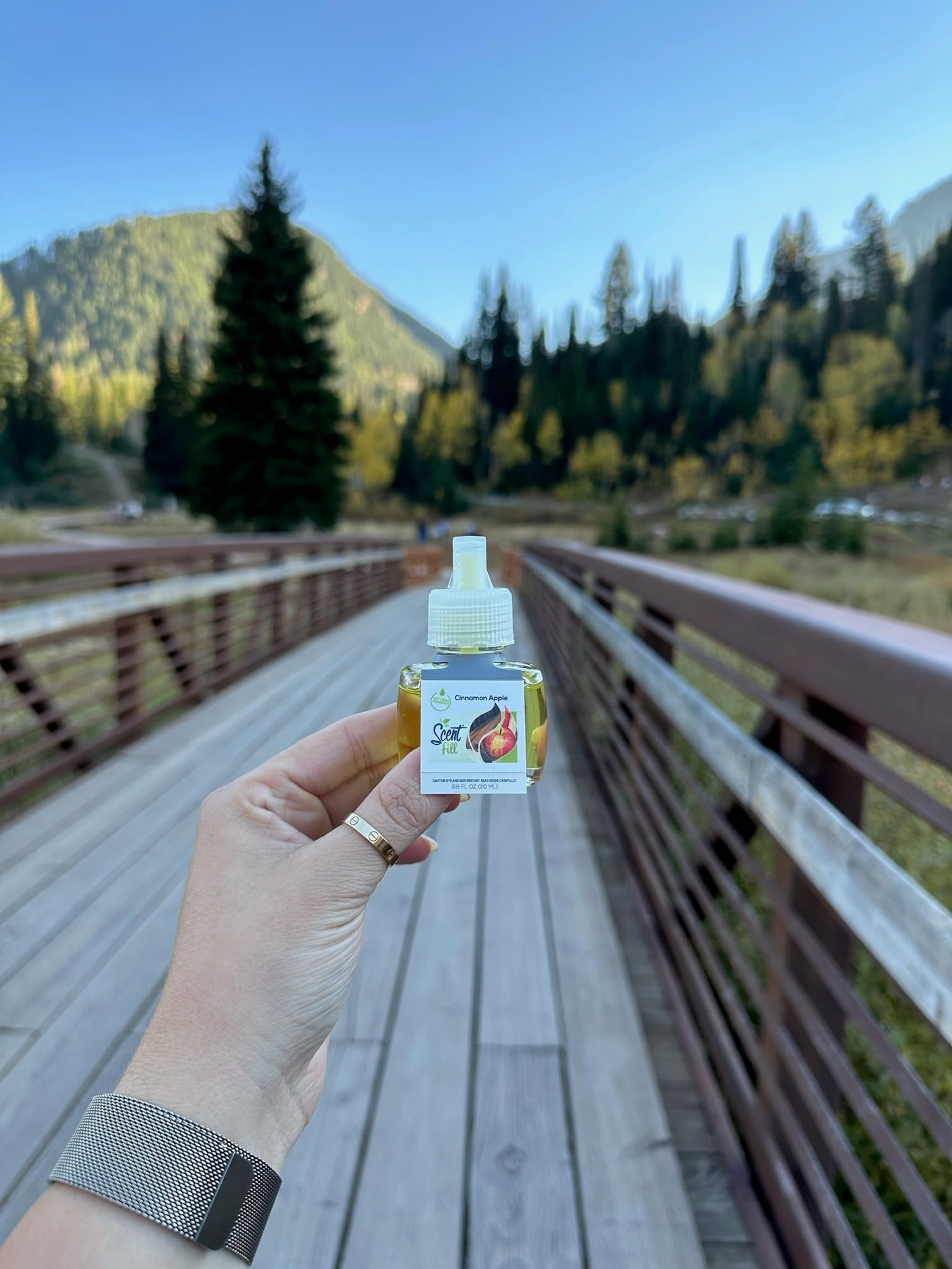 Cinnamon Apple Plug in Air Freshener (2.72 Fl Oz)
