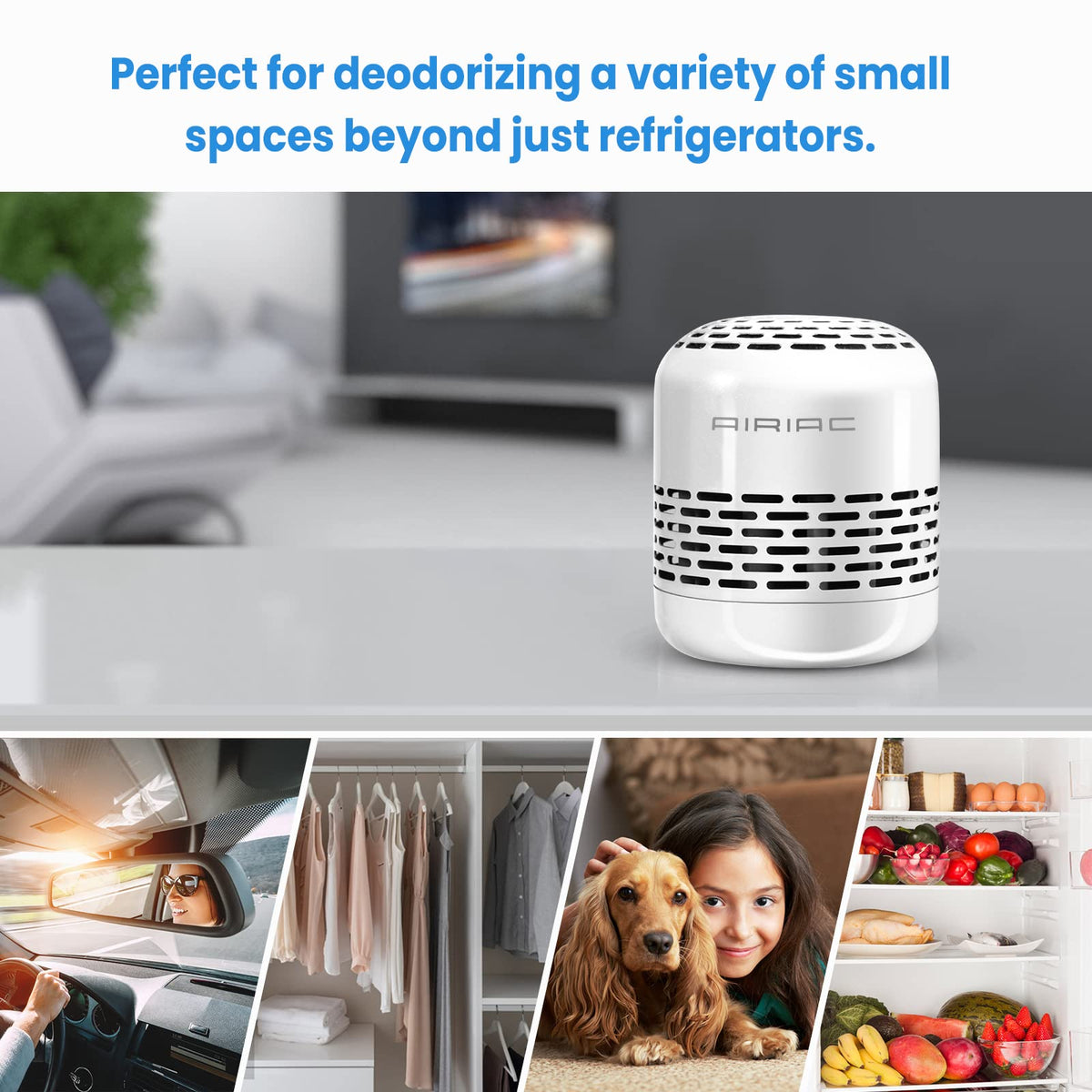 Fridge Deodorizer