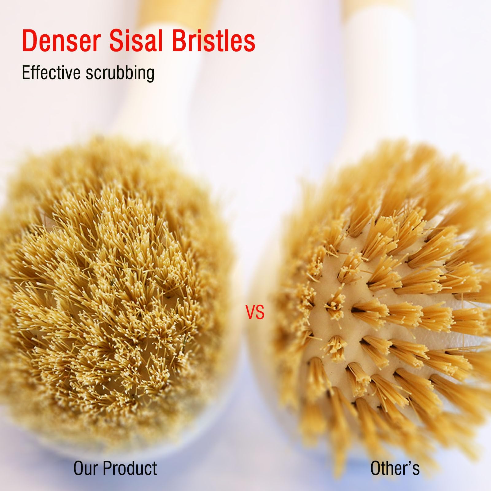 Vegetable & Dish Brush Set (2 Count)