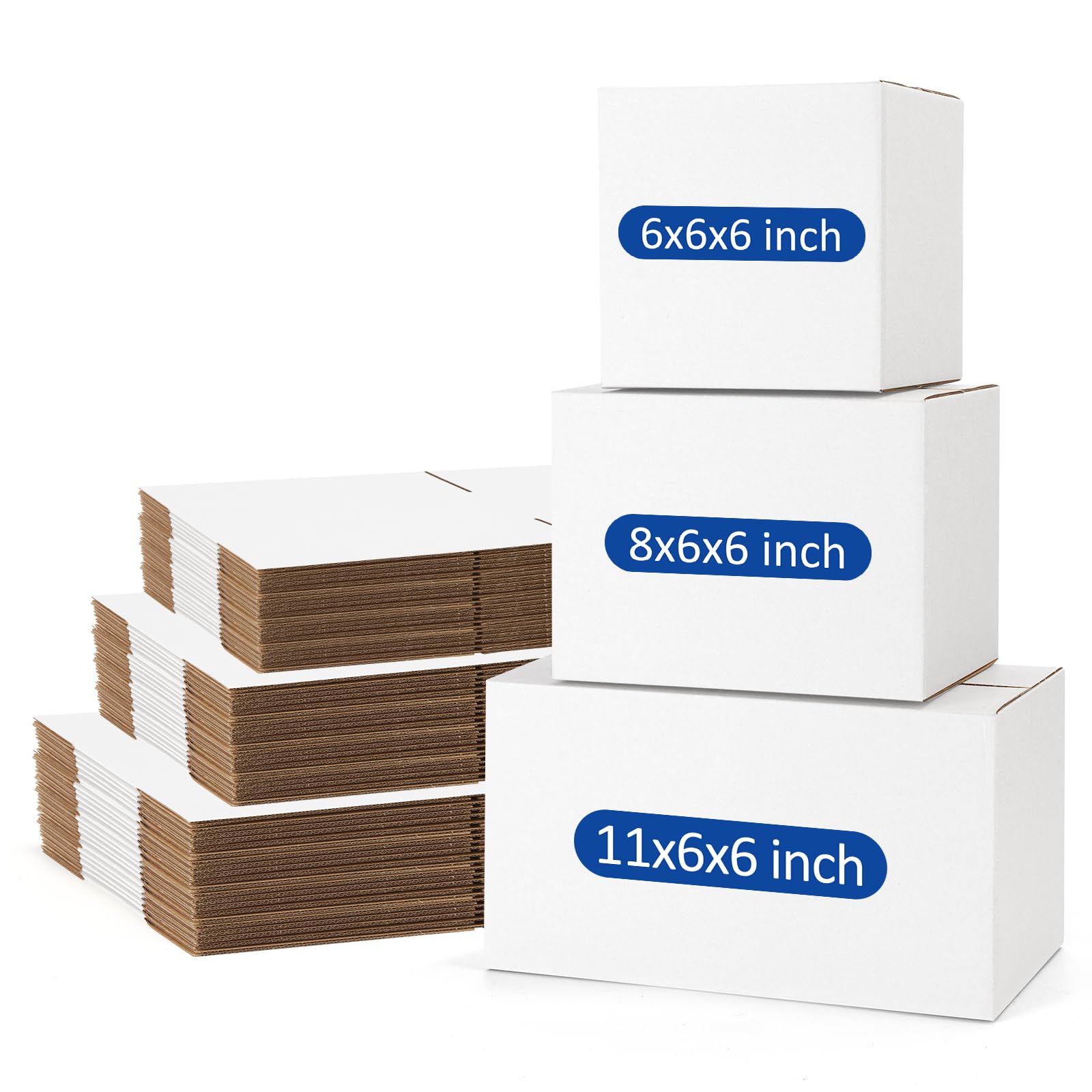 Assorted Sizes (45 Count)