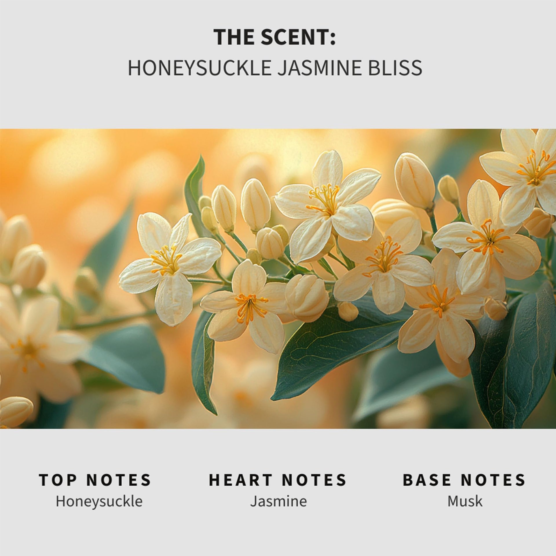 Honeysuckle Jasmine Carpet Deodorizer Powder (16 Ounce)