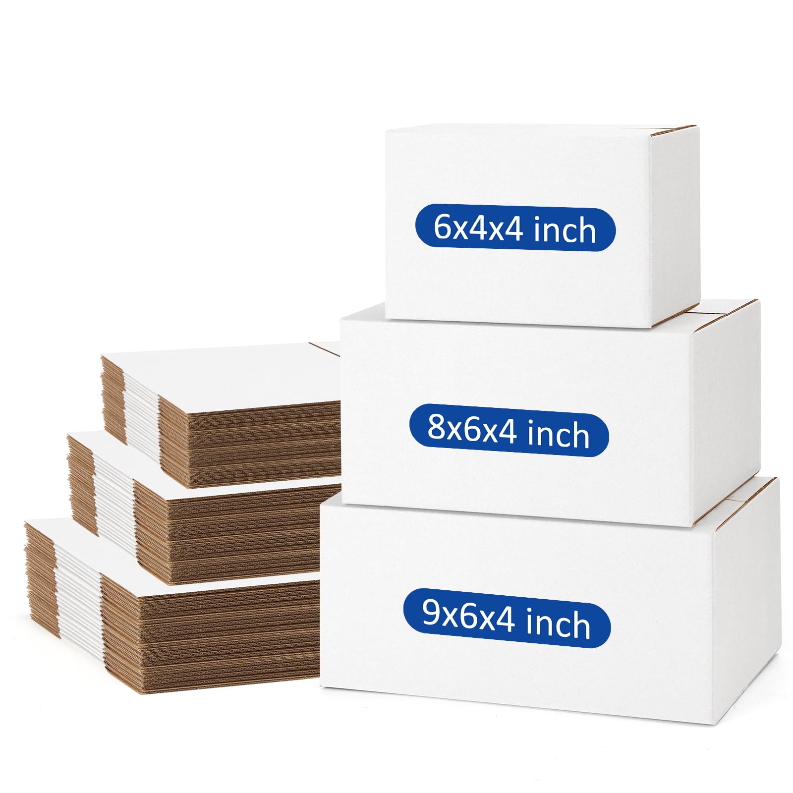 Assorted Sizes (45 Count)