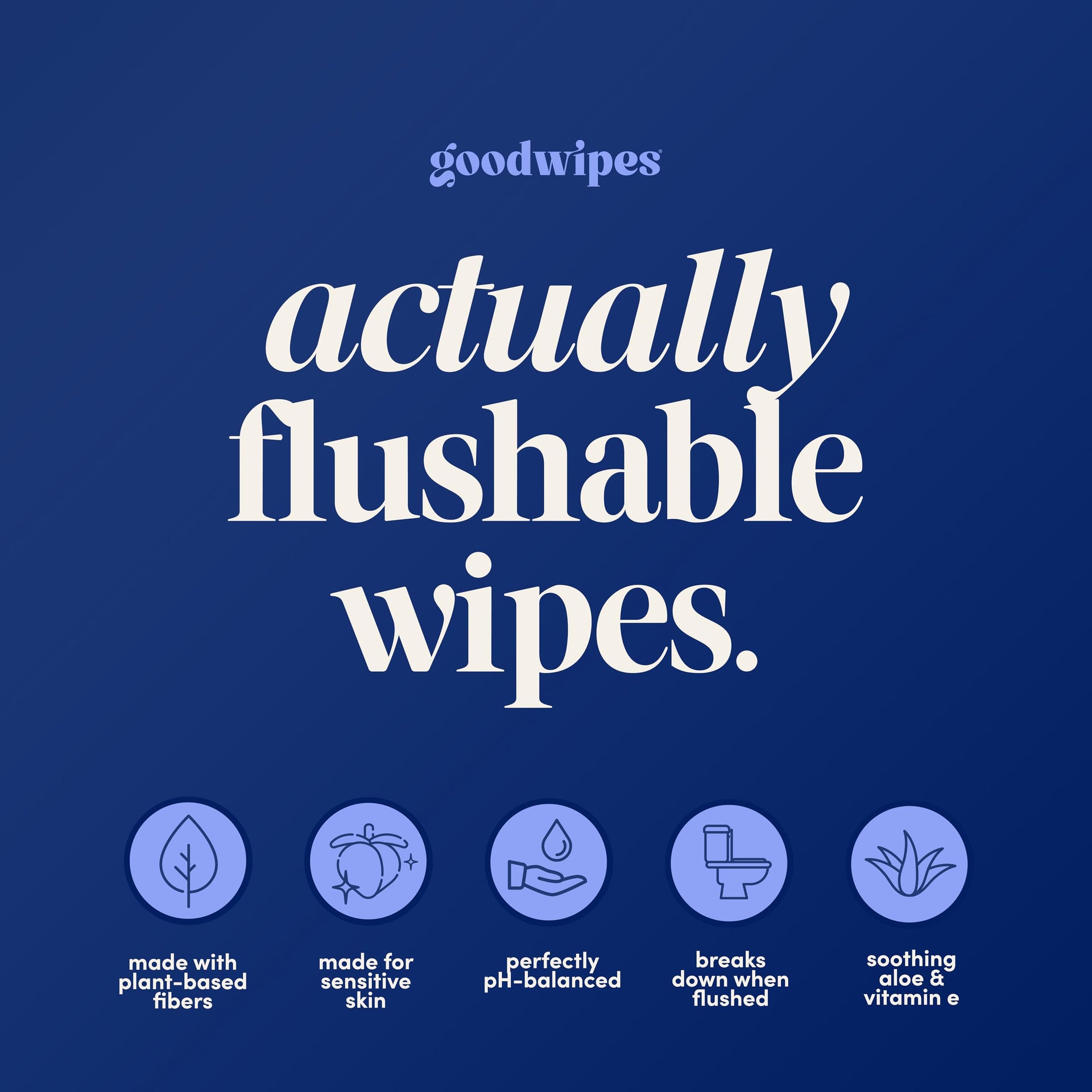Flushable Wipes for Women (32 Count)