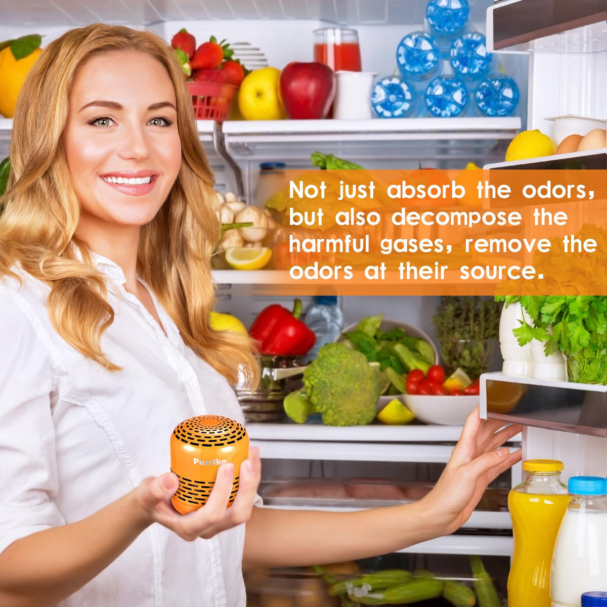 Refrigerator Deodorizer