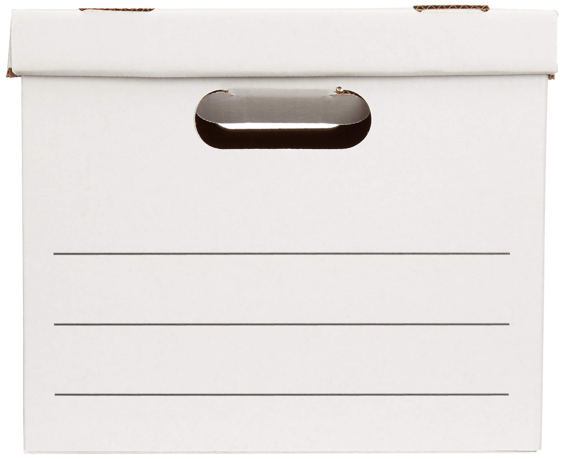 Storage Filing Boxes with Lift (20 Count)
