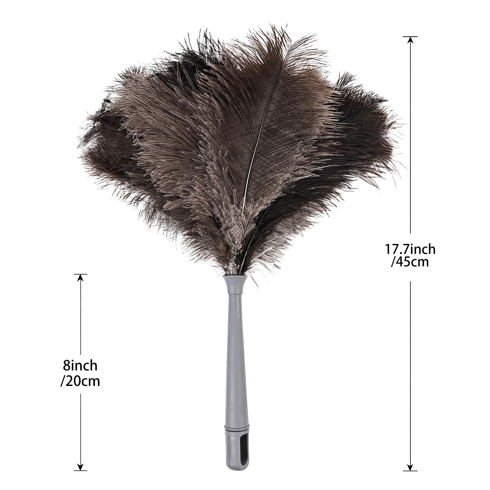 Feather Duster
