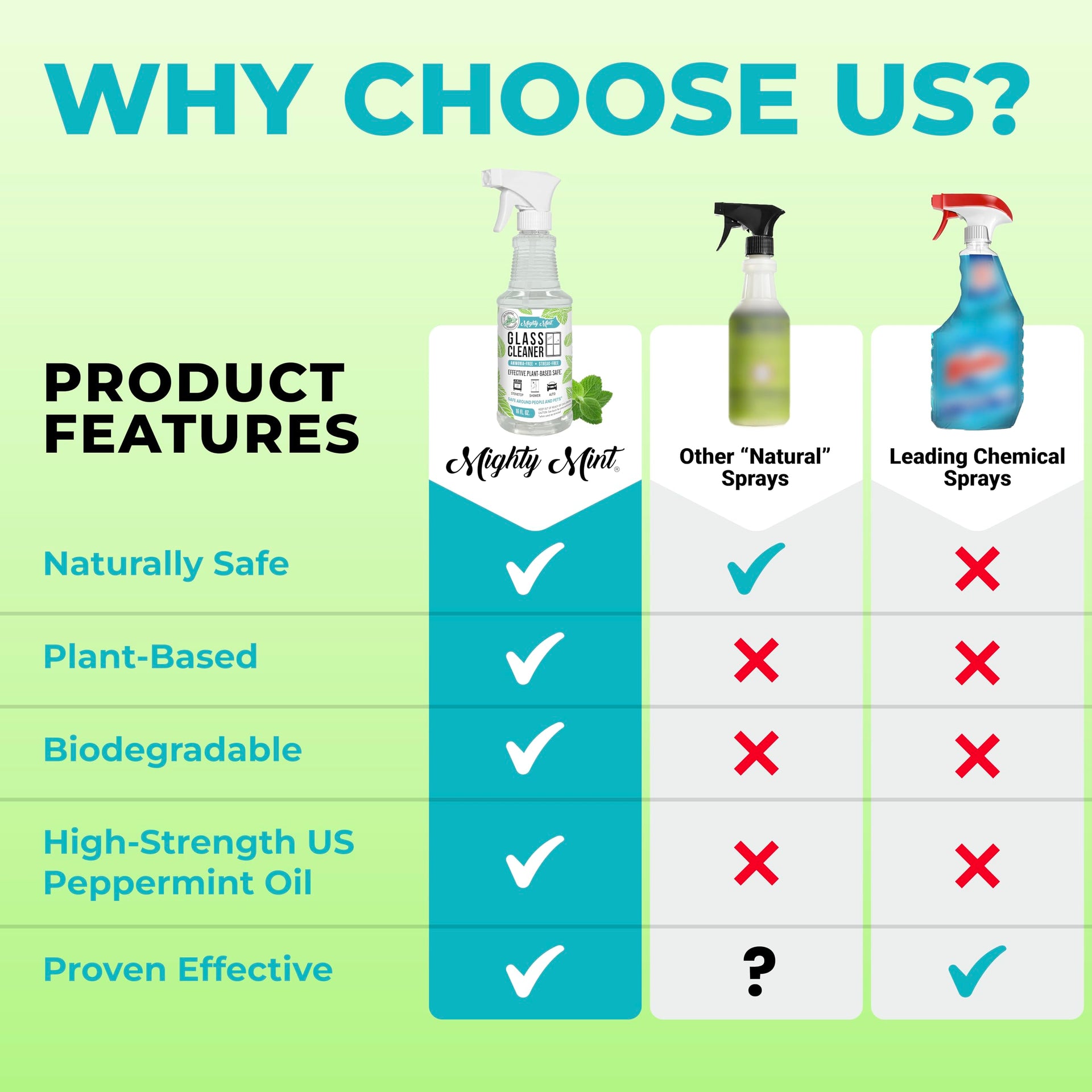Glass Cleaner (16 Fl Oz)